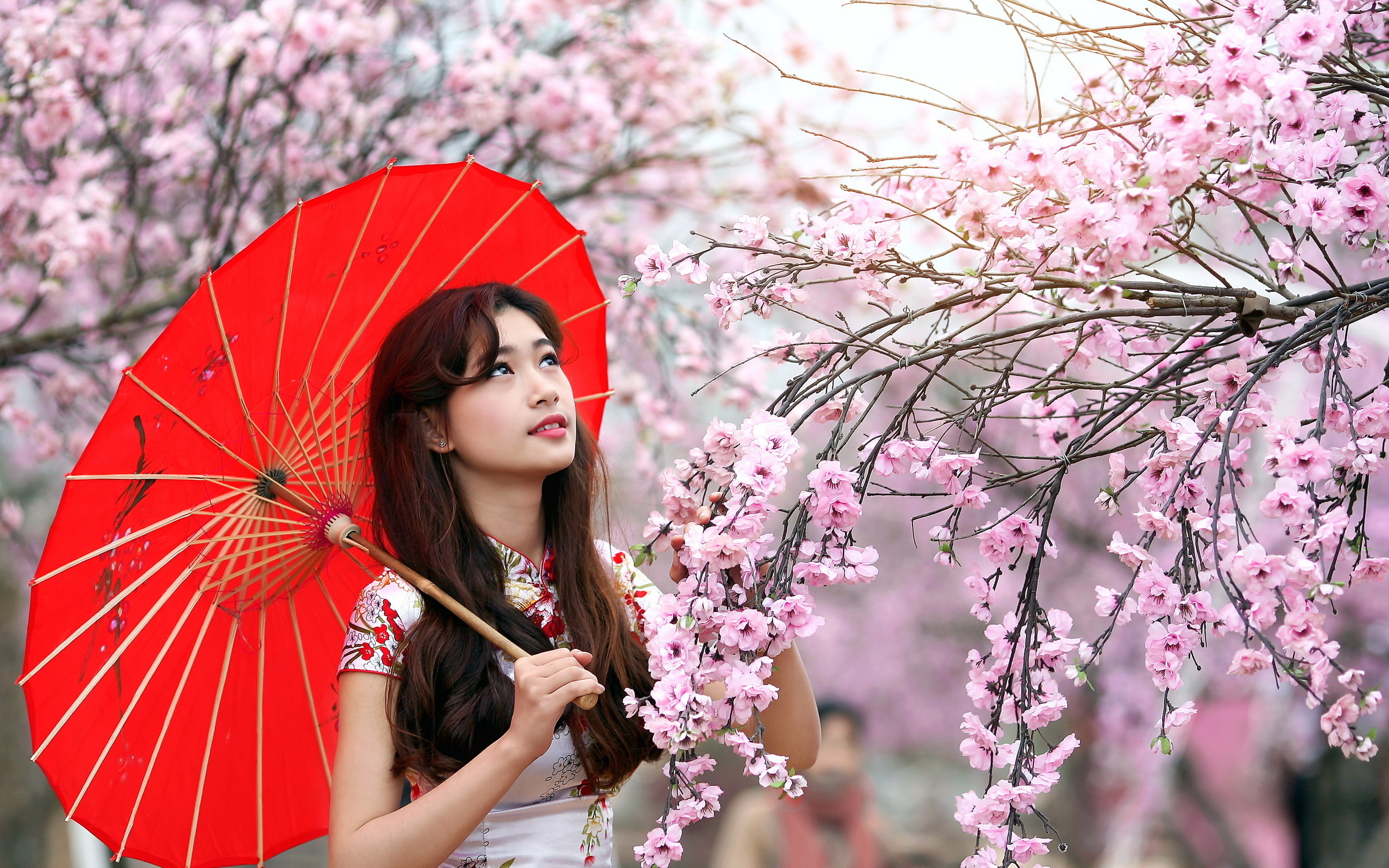 Красивые девушки китая и японии