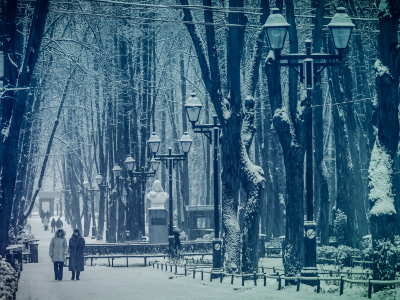 парк, снег, зима, Москва