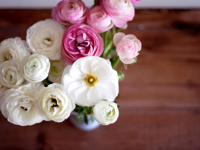 розовые, цветы, ranunculus, бутоны, белые, лютики, букет