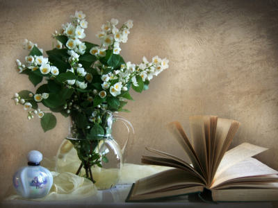 жасмин, книга, духи, стена, ваза