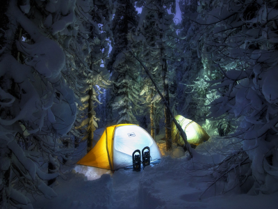 лес, снег, палатка