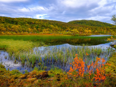 норвегия, пейзаж, реки, осень, трава