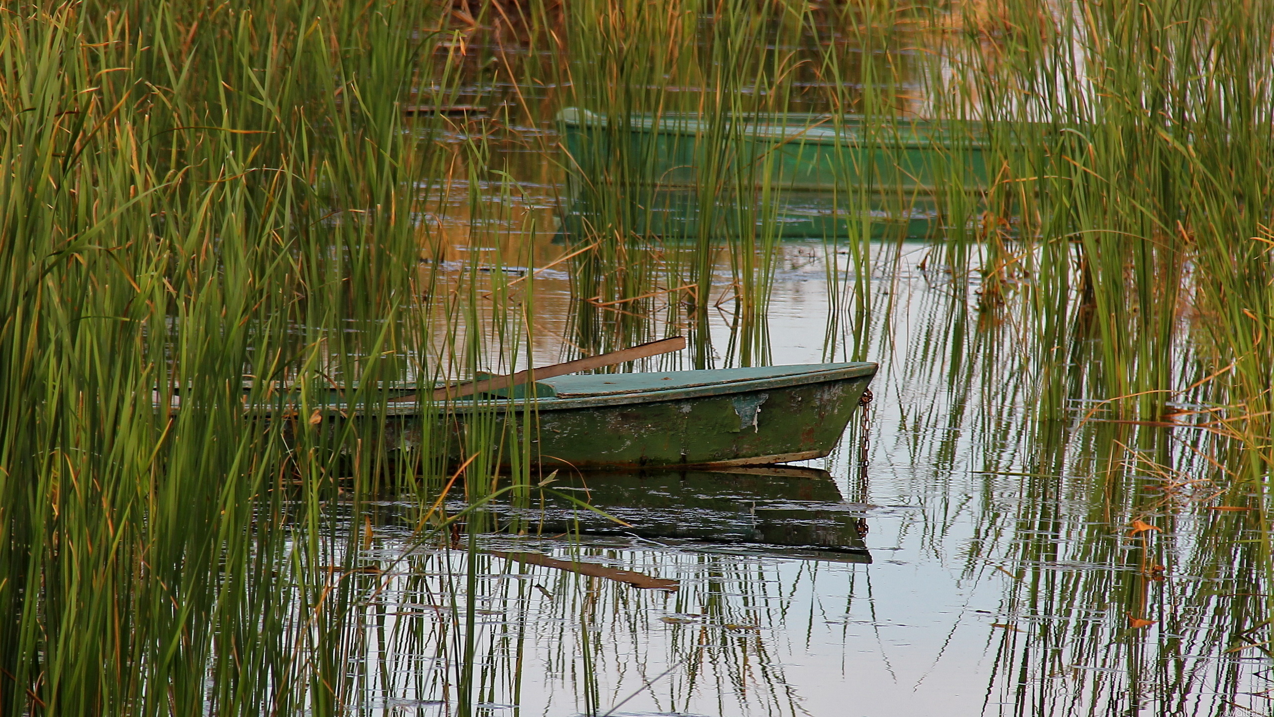 Лодка на болоте