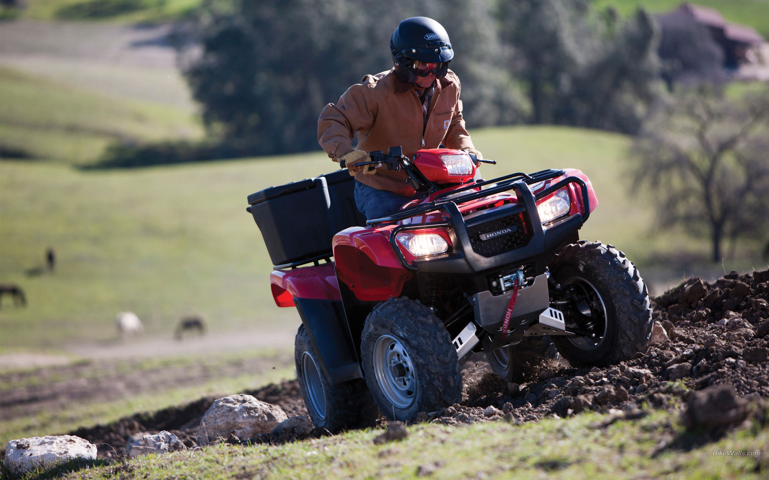 Honda atv