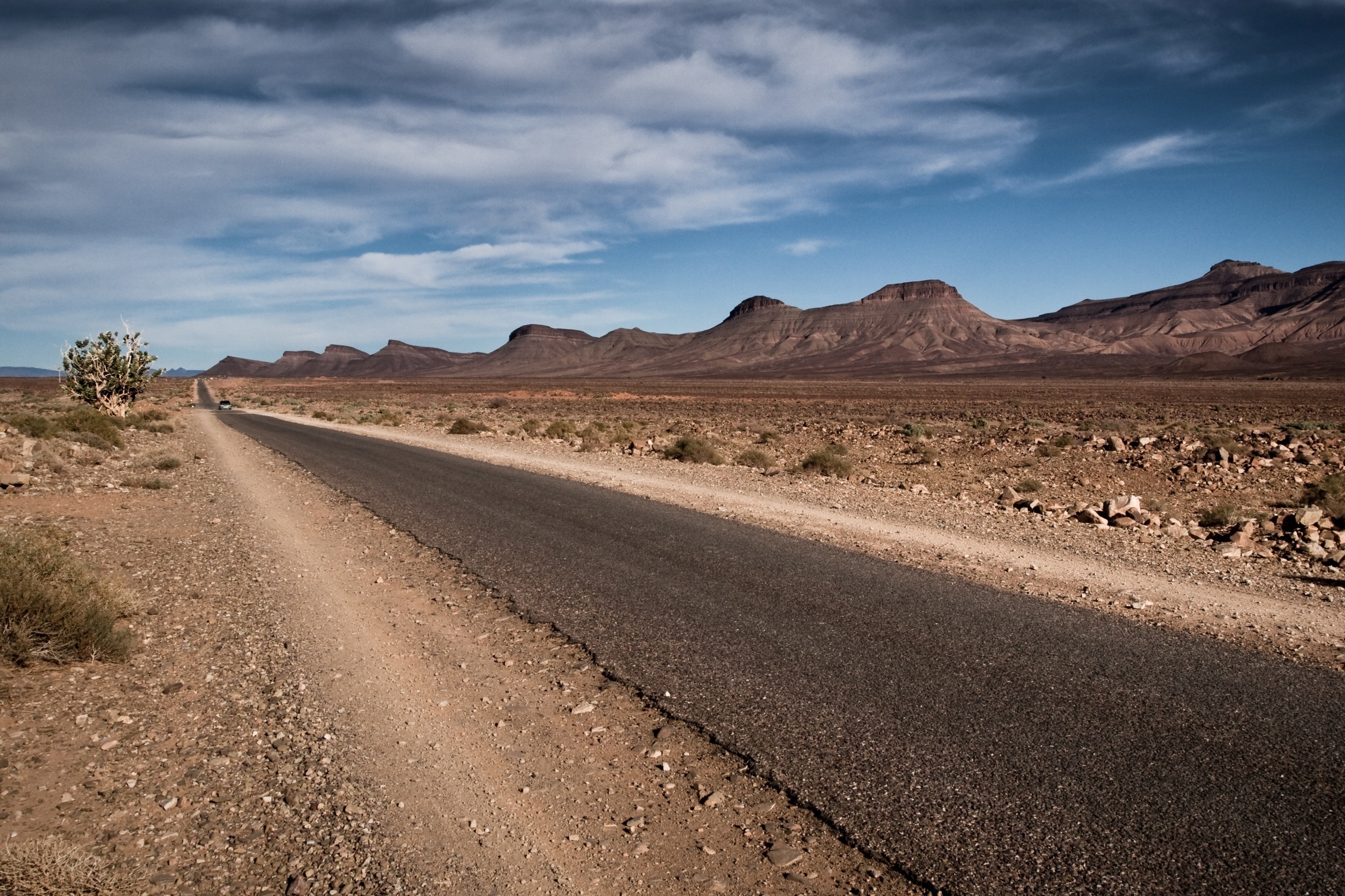 Desert road. Песчаная Пустошь Техас. Калифорния пустынная местность. Пустыня Дзосотын Элисун. Дорога в пустыне.