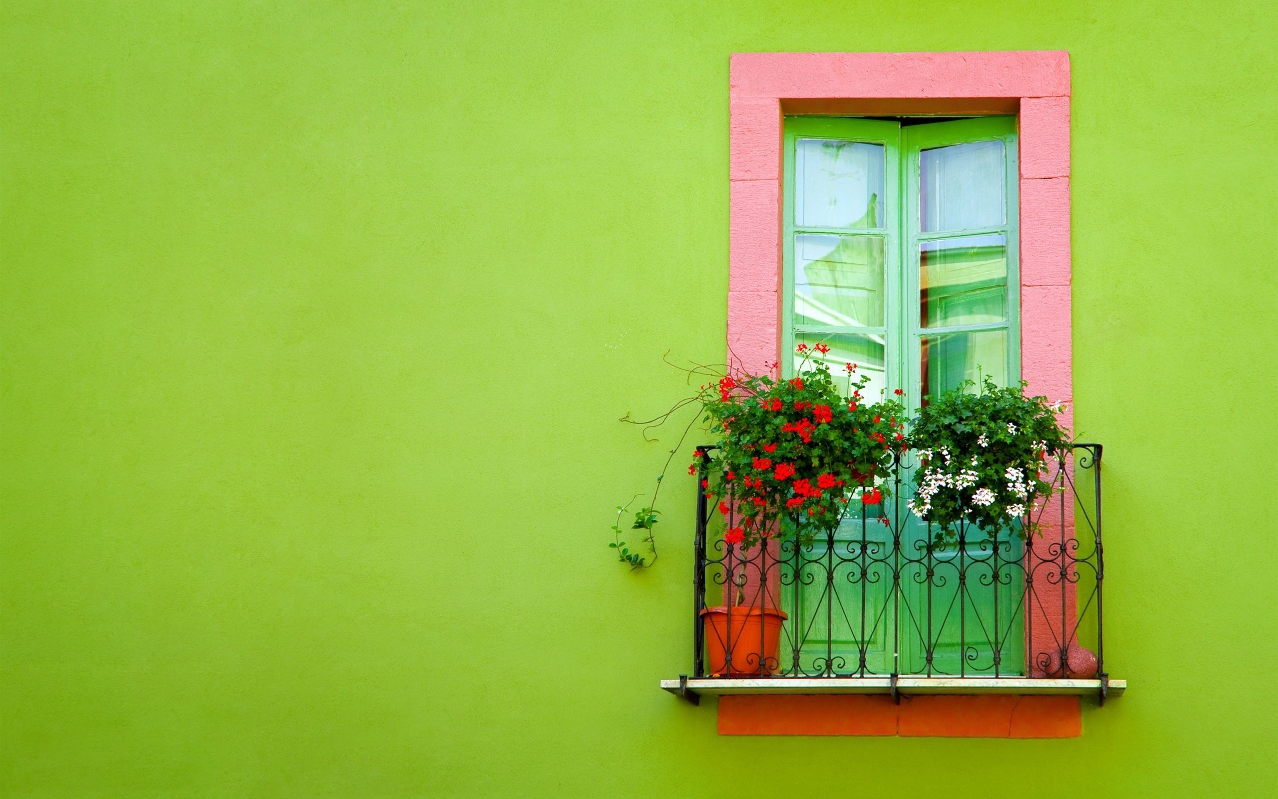 Окно на зеленом фоне
