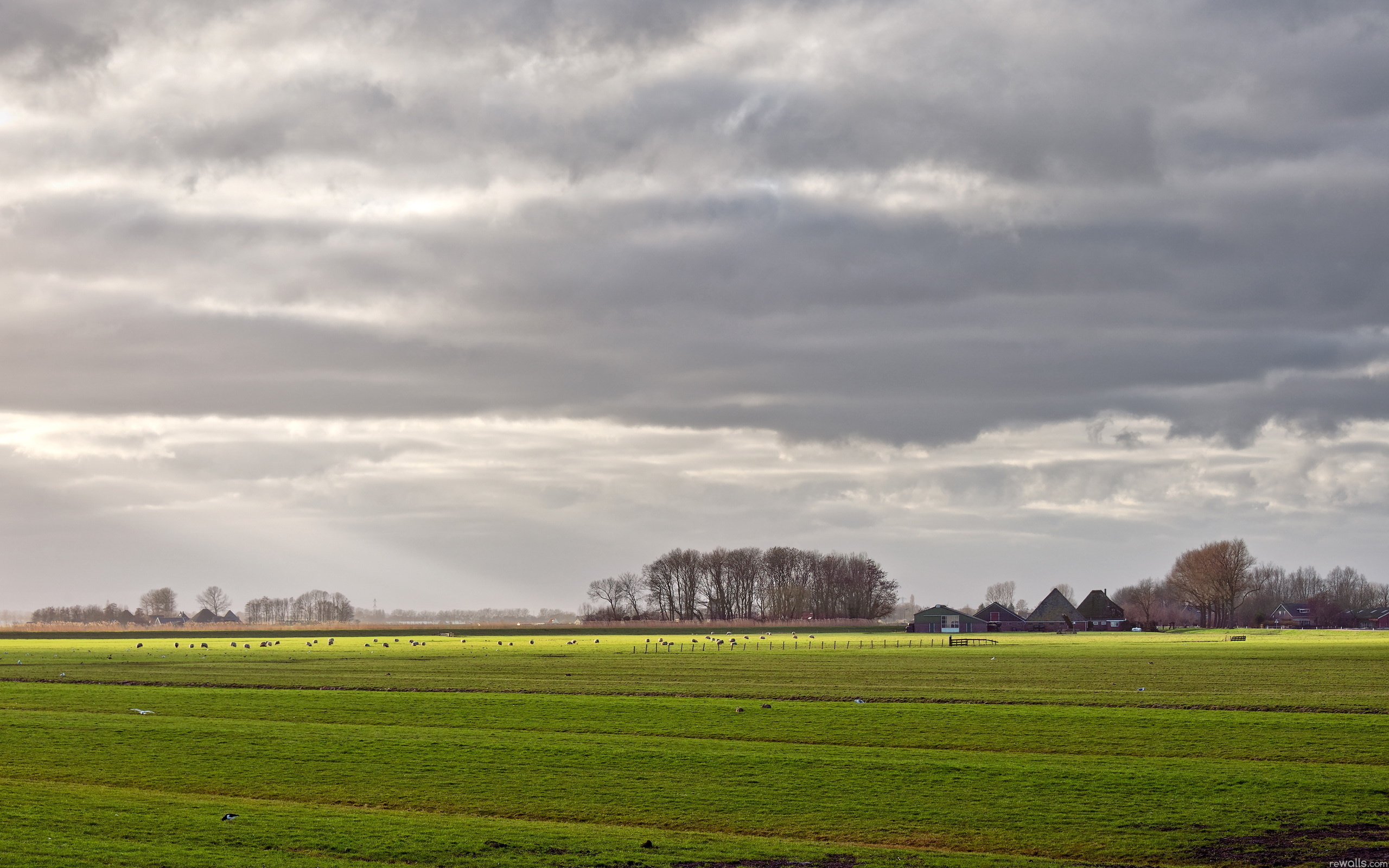 Distance field. Distance nature.