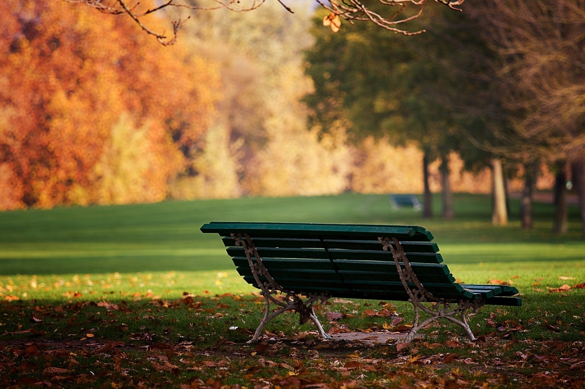 Скамейка в парке. Скамья Bench 900. Лавочка на природе. Скамейка на природе.