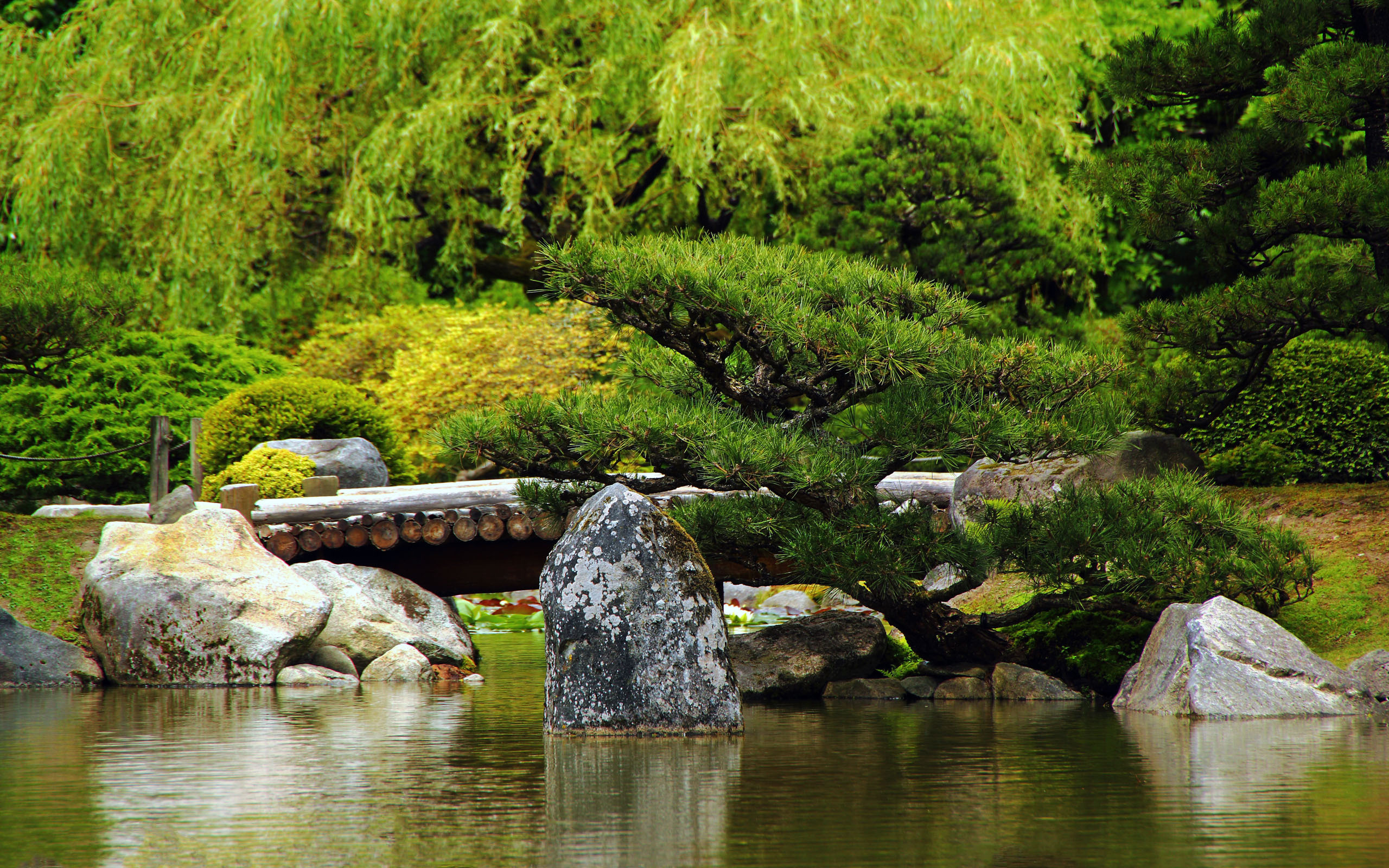 Сад камней мостик Япония