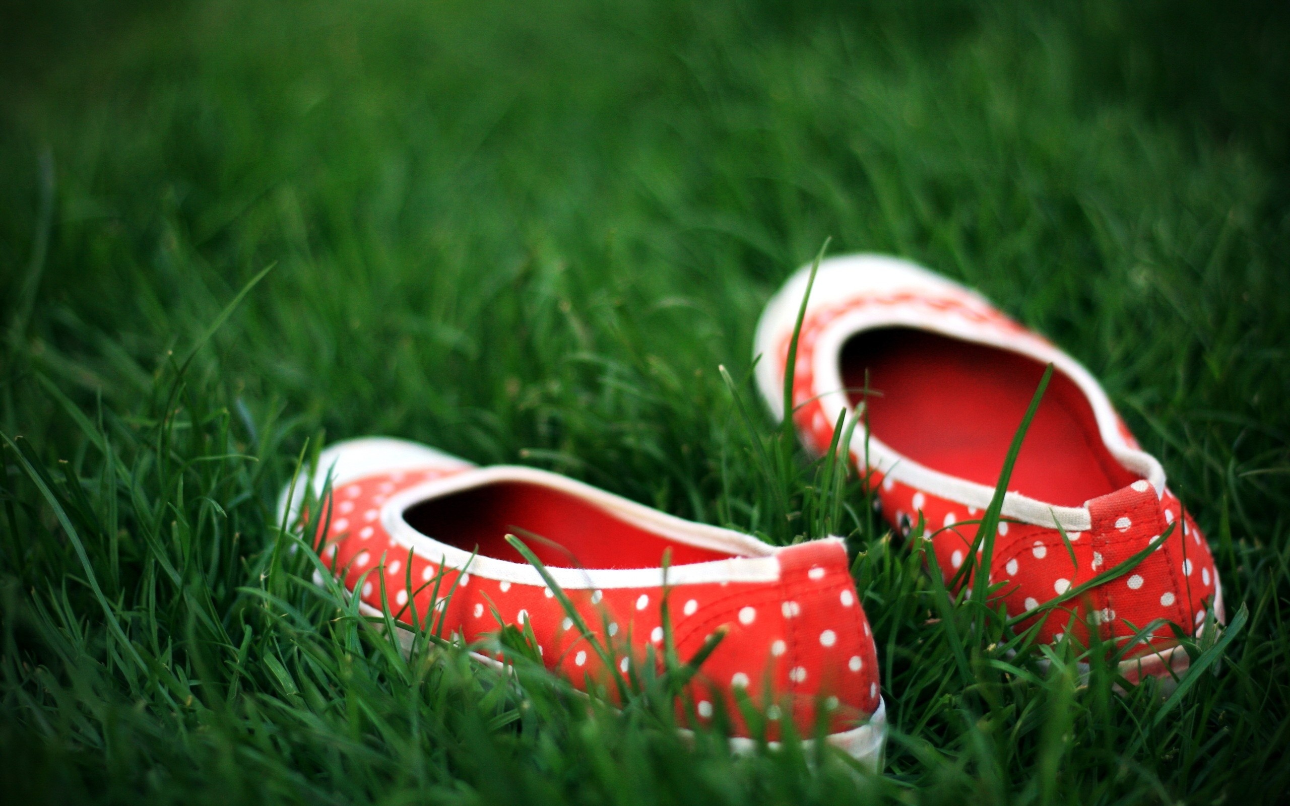 Ботинки на траве