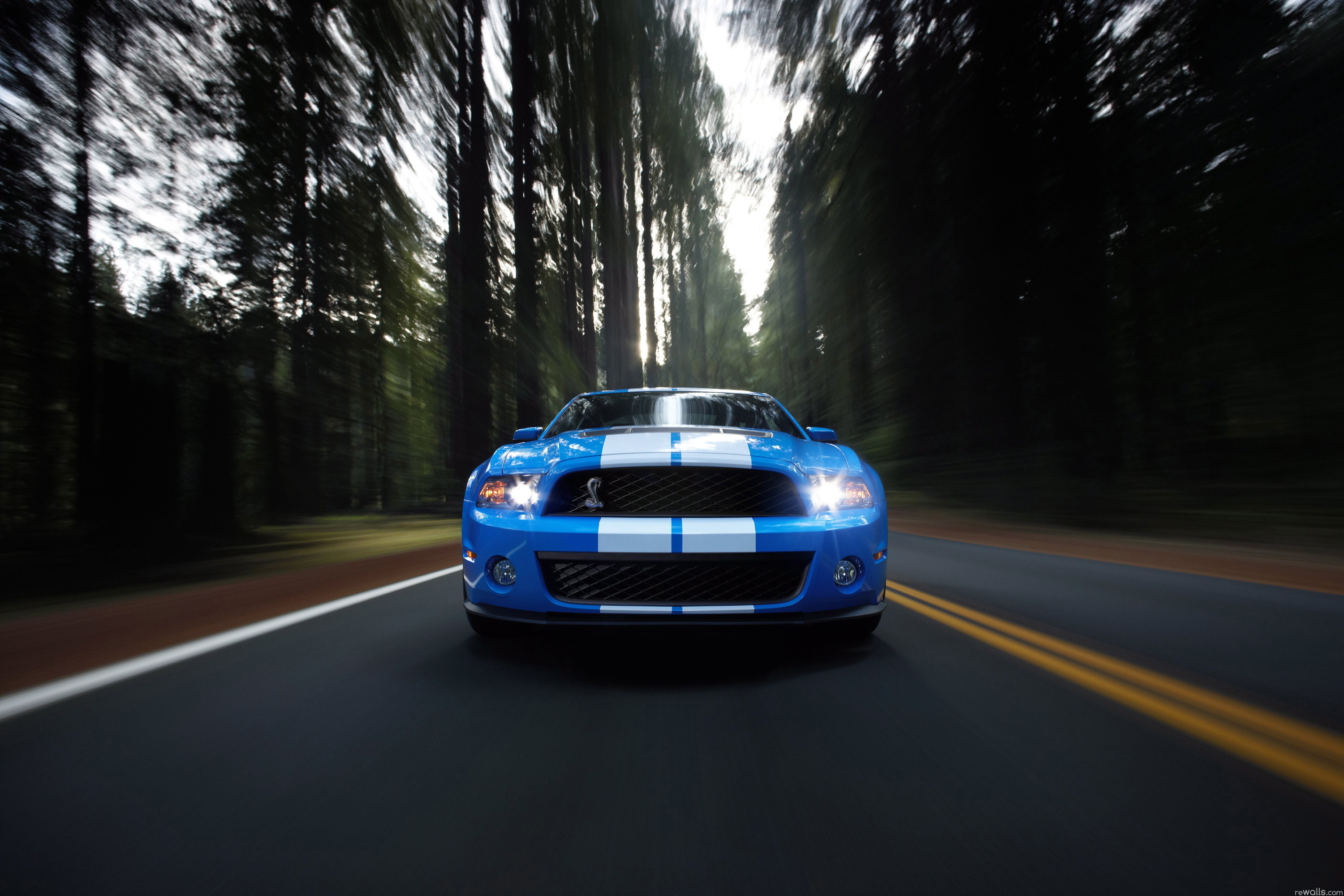 Ford Mustang gt500