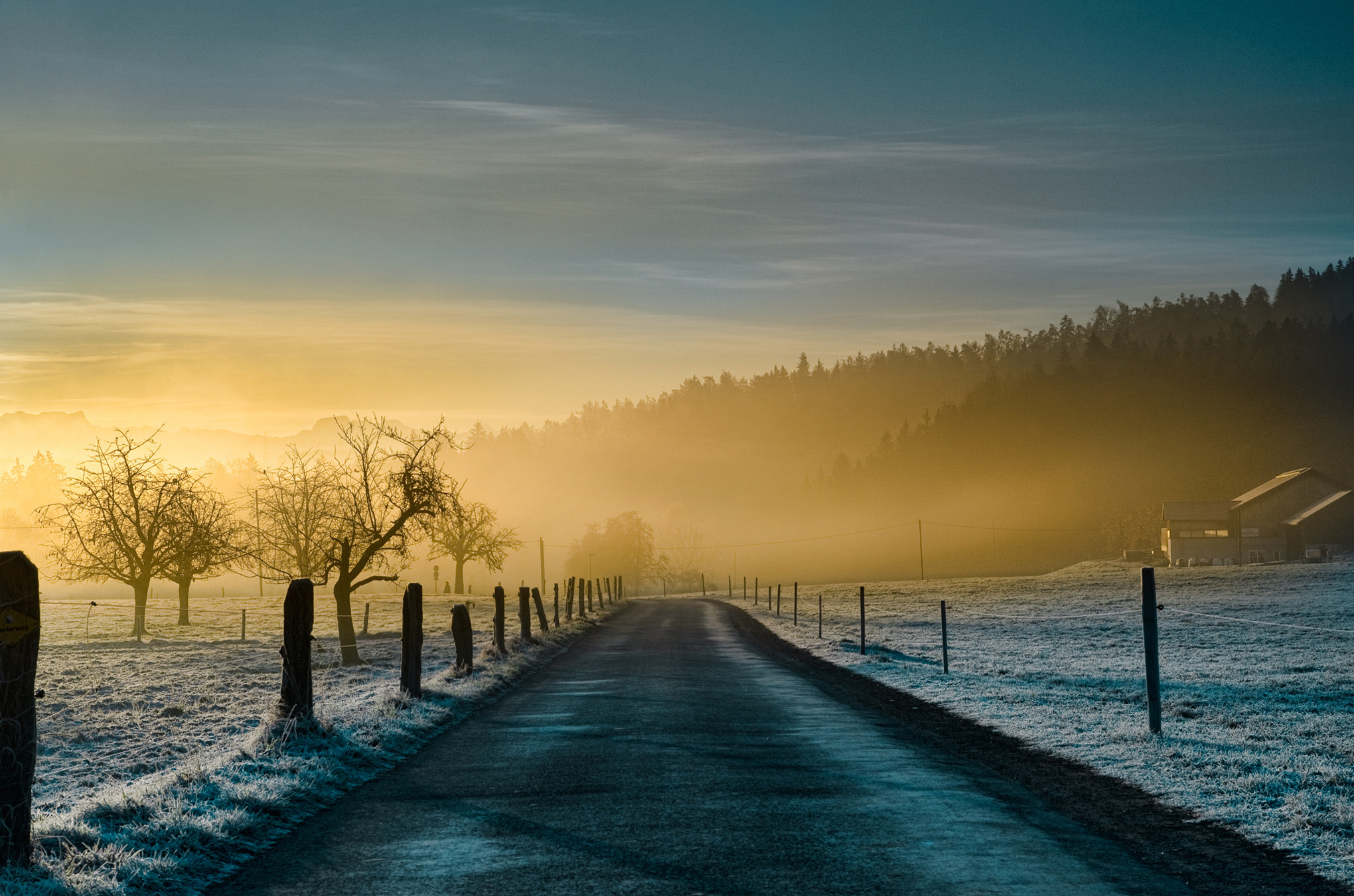 The road. Рассвет туман дорога. Утренняя дорога. Дорога на рассвет. Туман зима дорога.