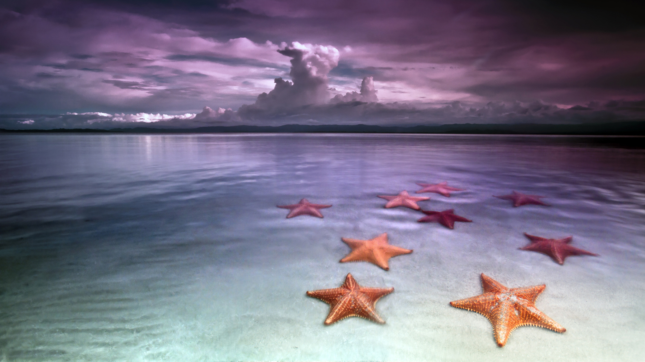 море и морская звезда