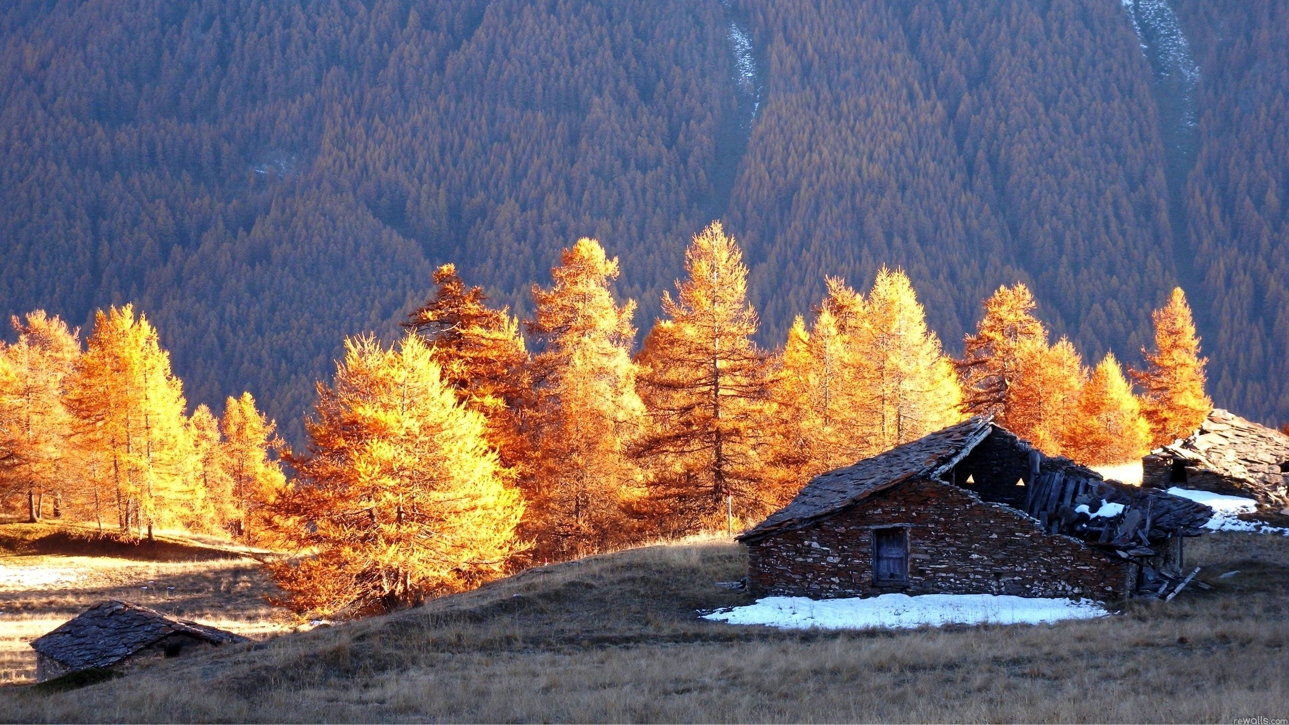 Избушка в осеннем лесу