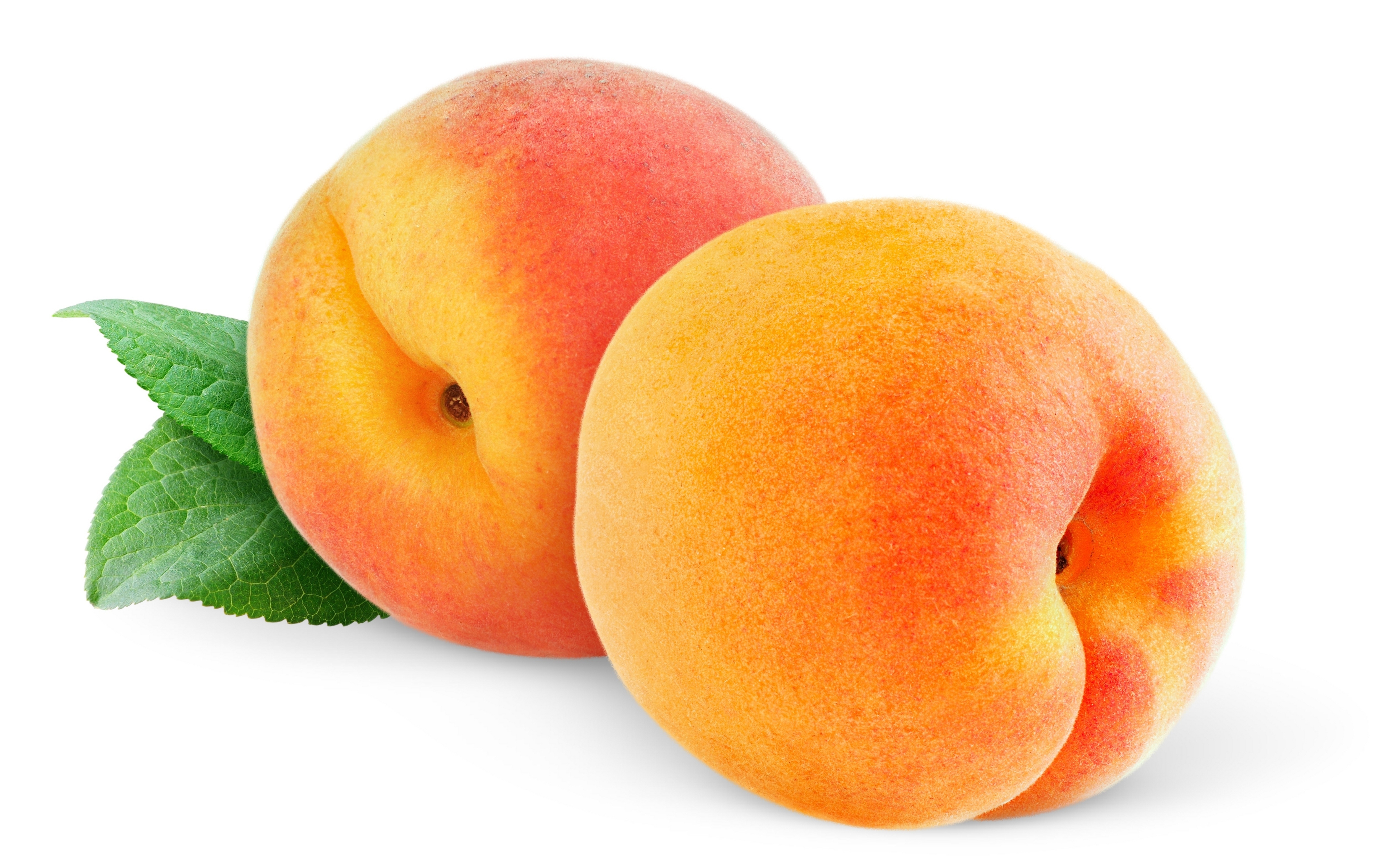 Peachypeachpeaches