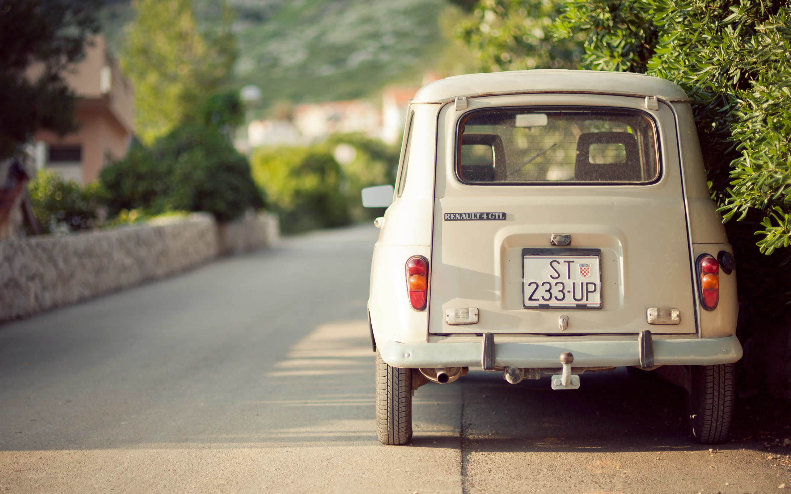 Renault 4 1994