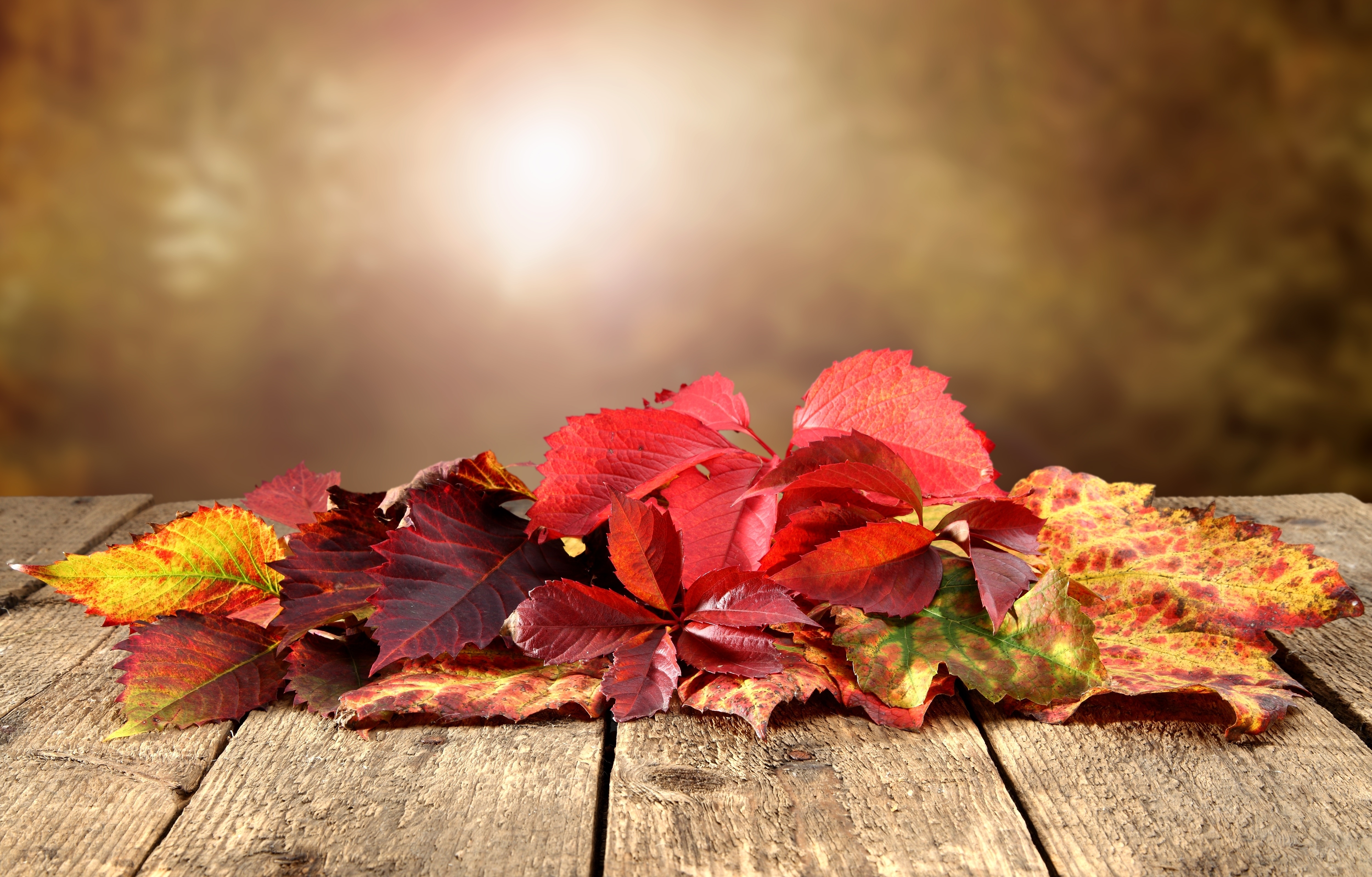 Осень стол листья