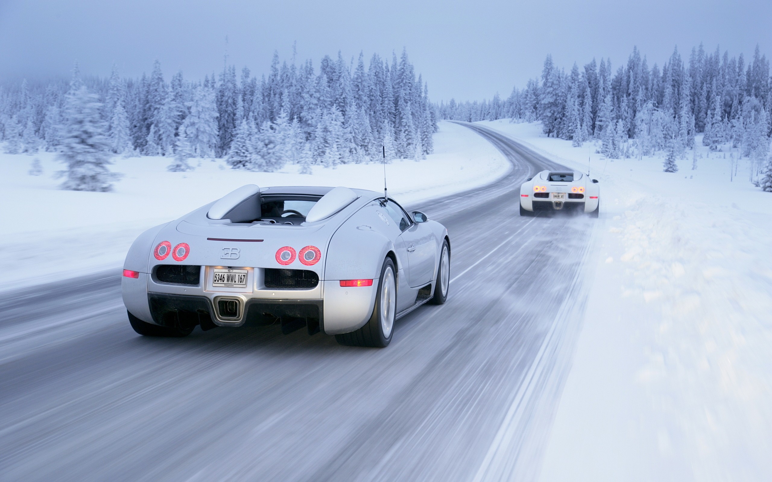 Обои белые автомобили, Зима, white cars, Bugatti Veyron, автомобили, snow,  cars, снег, winter на рабочий стол