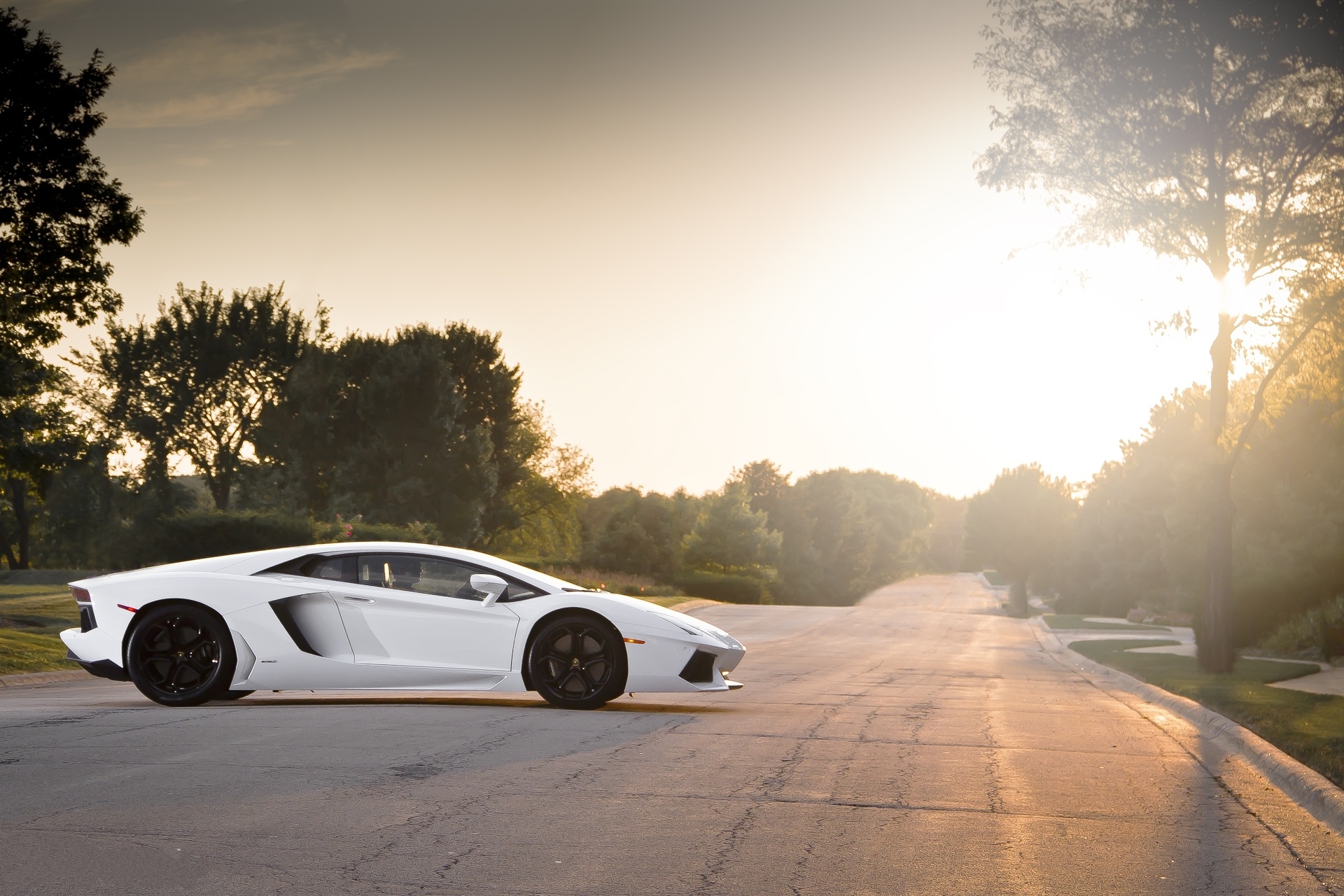 Lamborghini Aventador White and Black