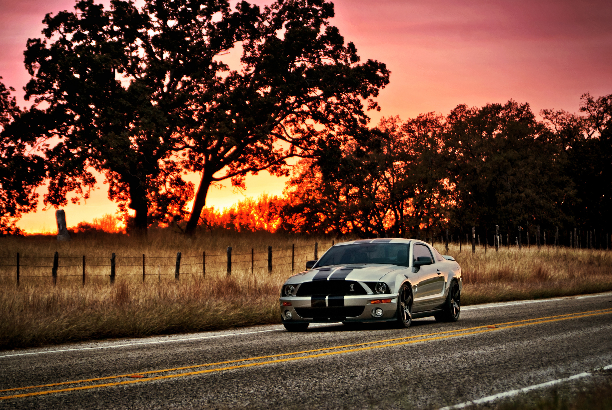 Пейзажи машина. Форд Мустанг gt 500 в закат. Ford Mustang gt500 Shelby на закате. Shelby gt500 закат. Форд Мустанг осень.