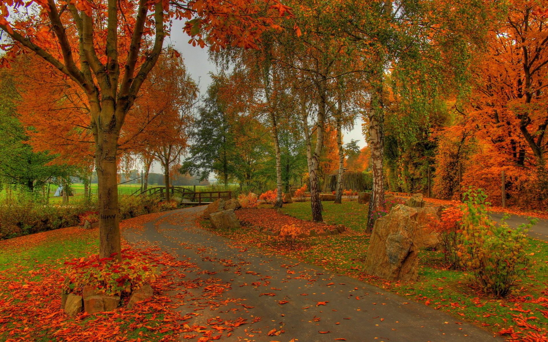 Красивая осень в парке