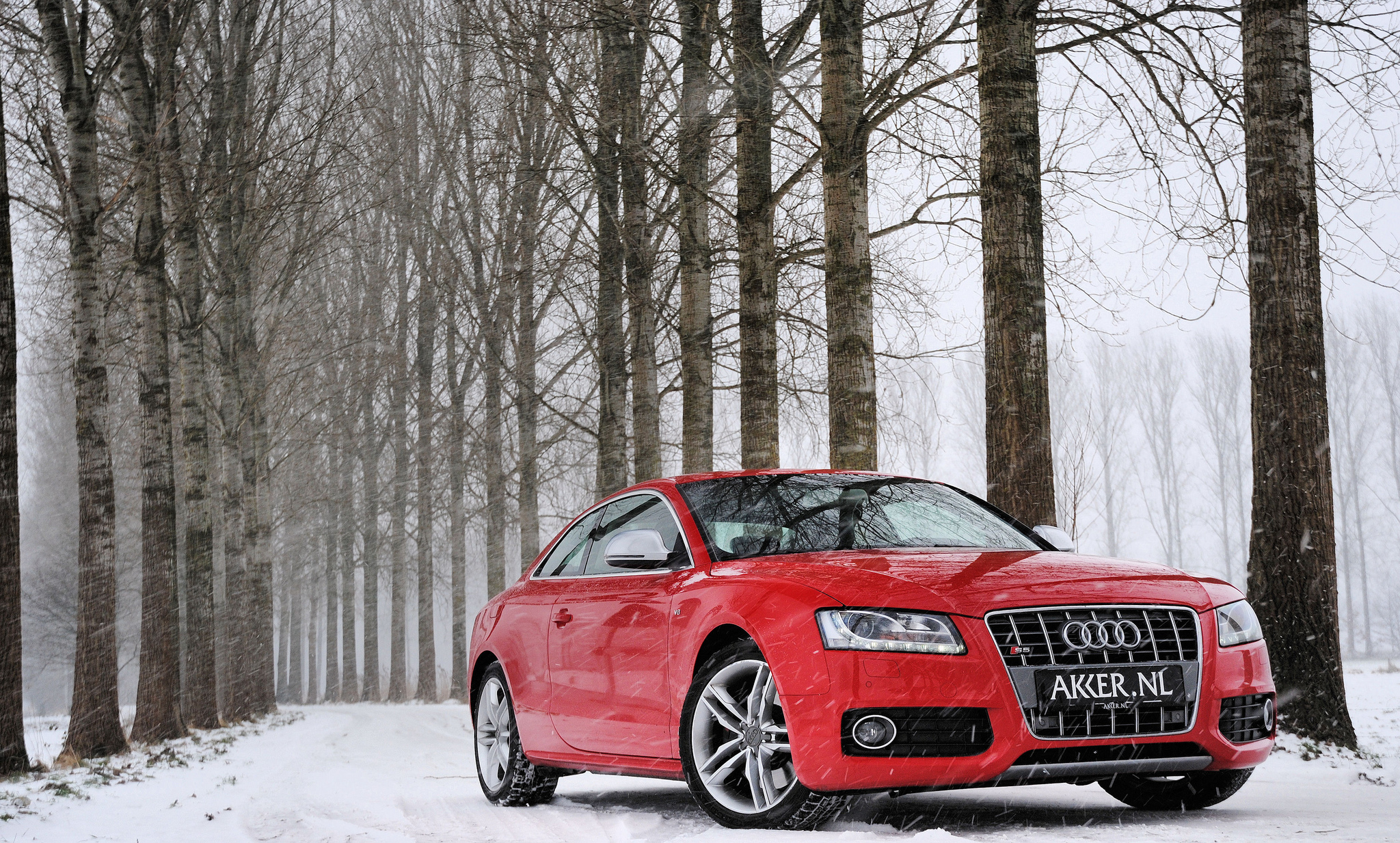 Audi s5 Red