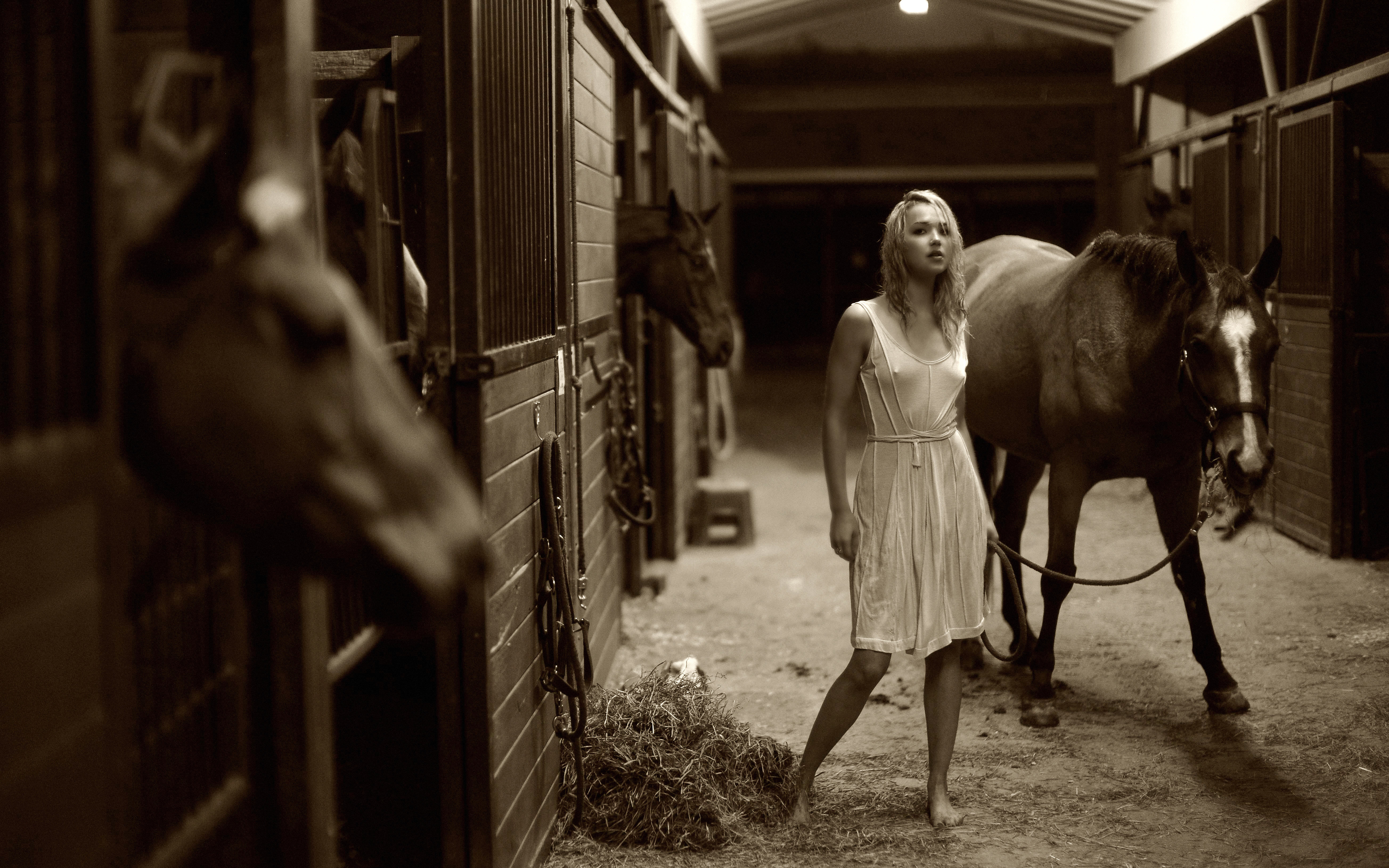 Stable girl. Ариэль Кеббел лошадь. Ариэль Кеббел блондинка. Девушка в конюшне. Фотосессия в конюшне.