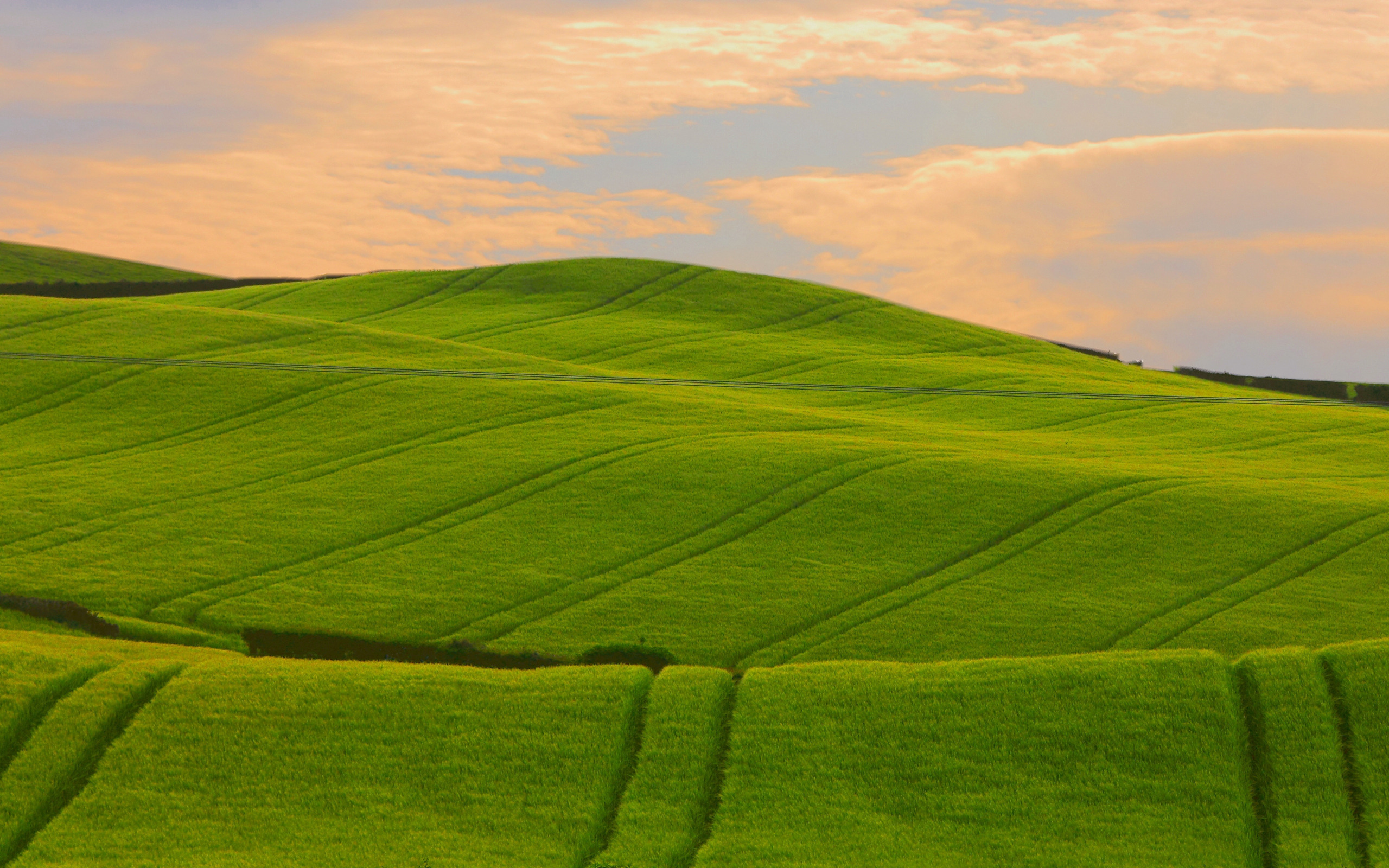 These fields. Узбекистан холмы поле. Зелёные холмы Палуз. Зеленое поле. Равнина.