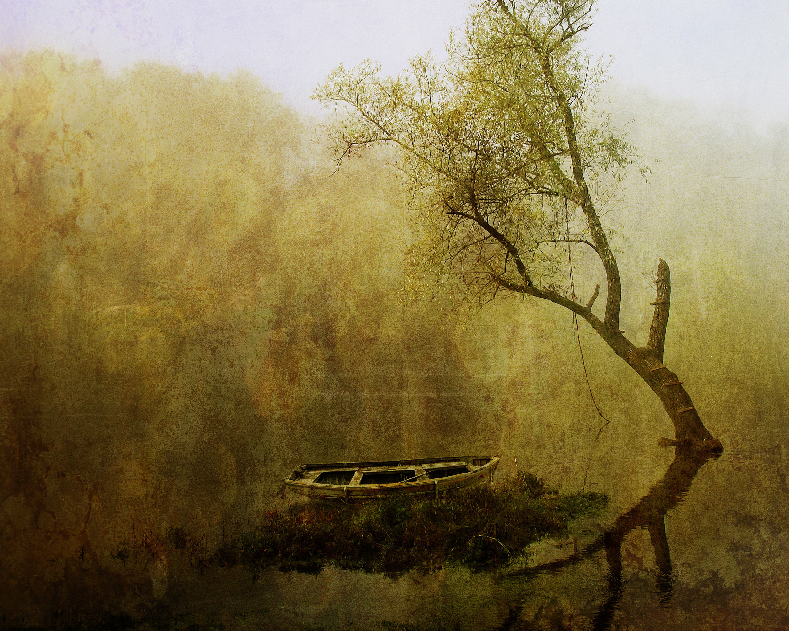 Живопись деревья туман