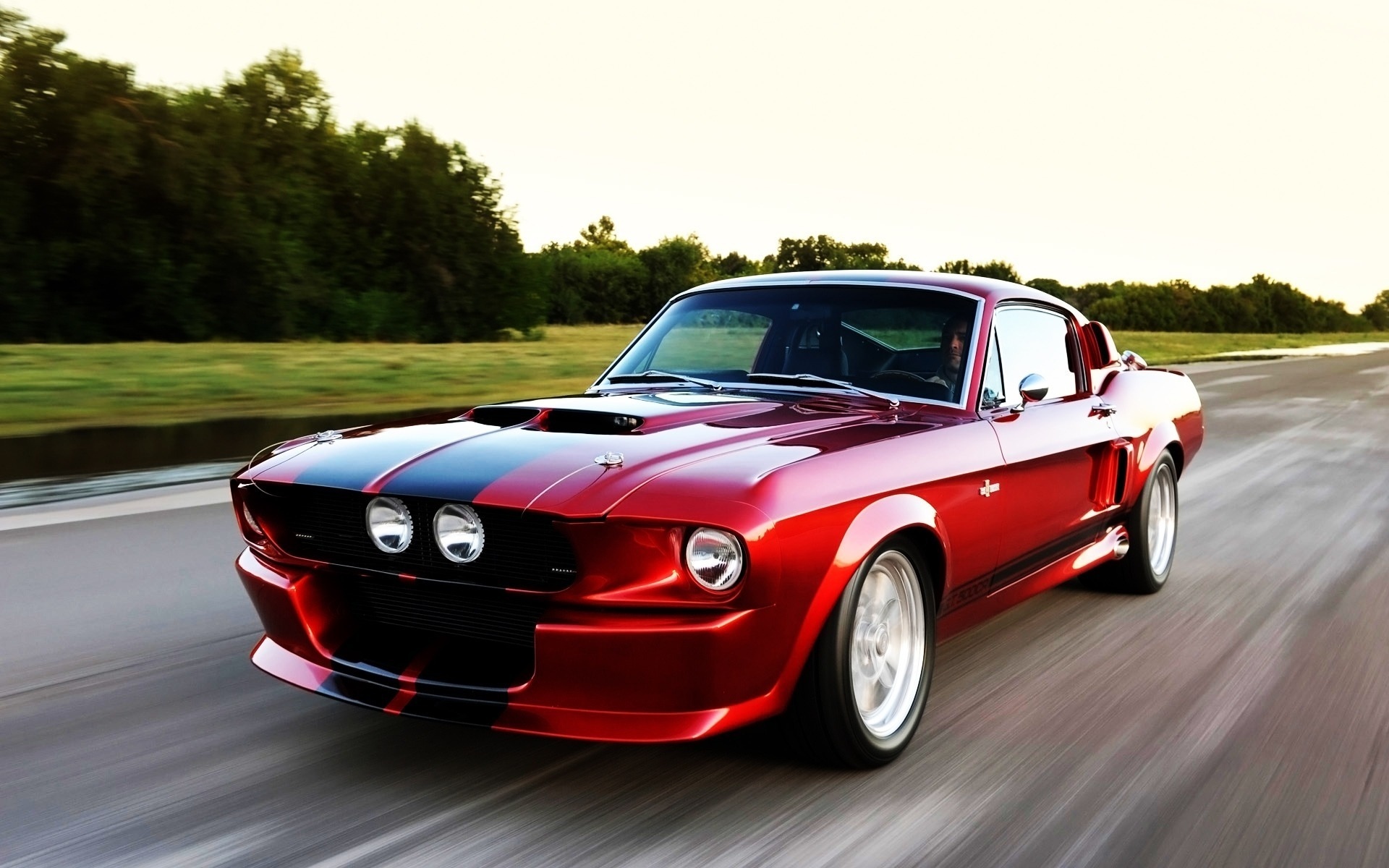 Shelby gt500 Sport