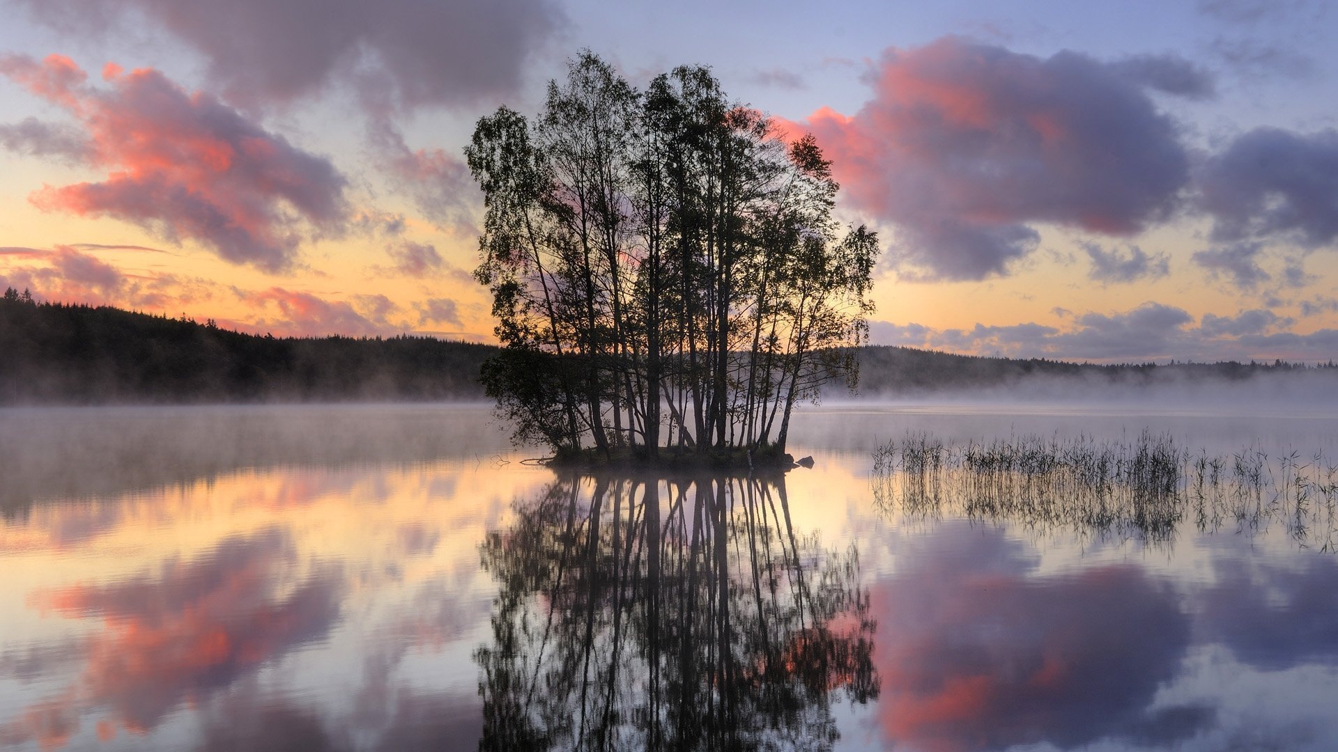 Отражение Осени В Воде Фото