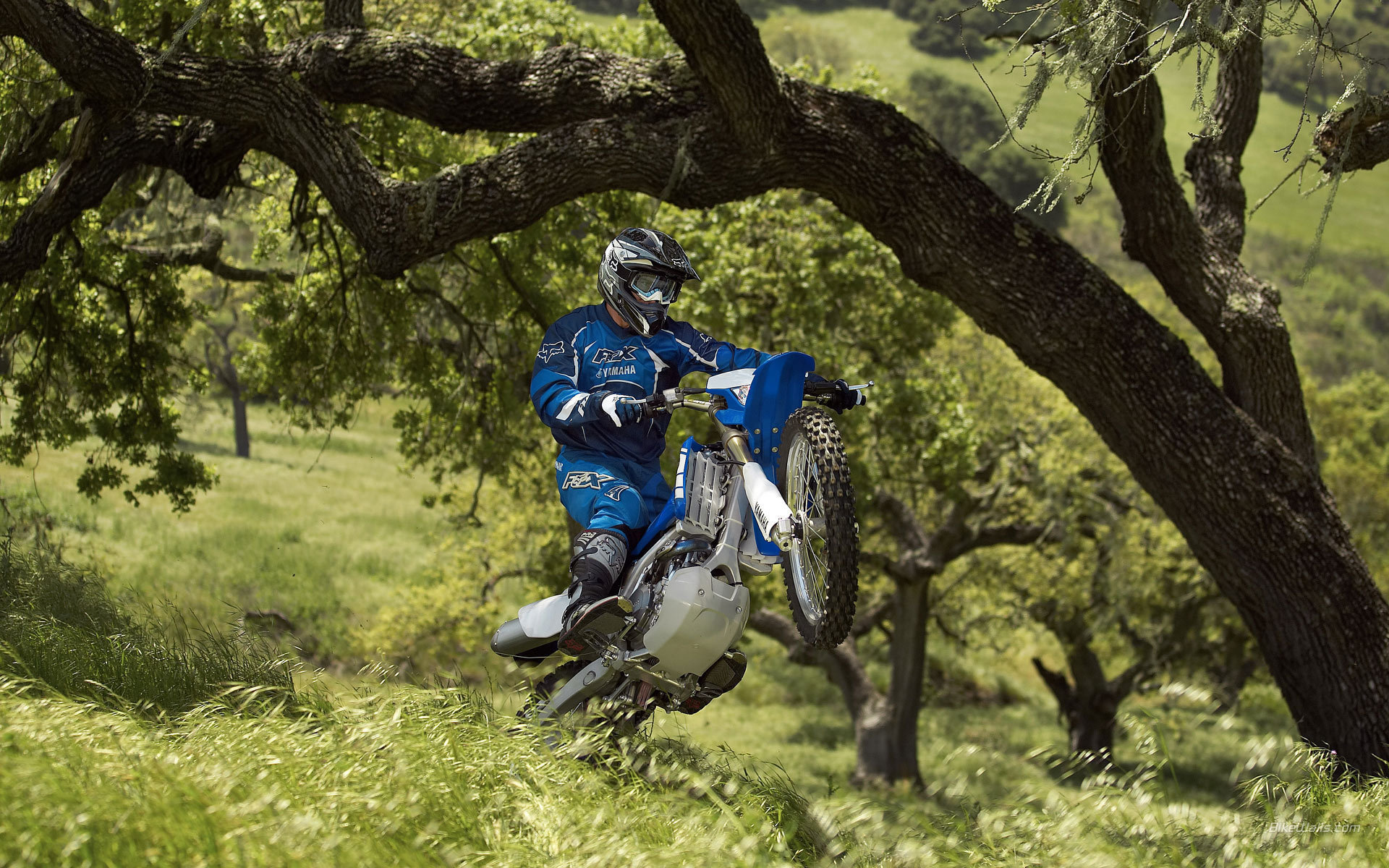 Yamaha wr450f Wallpaper