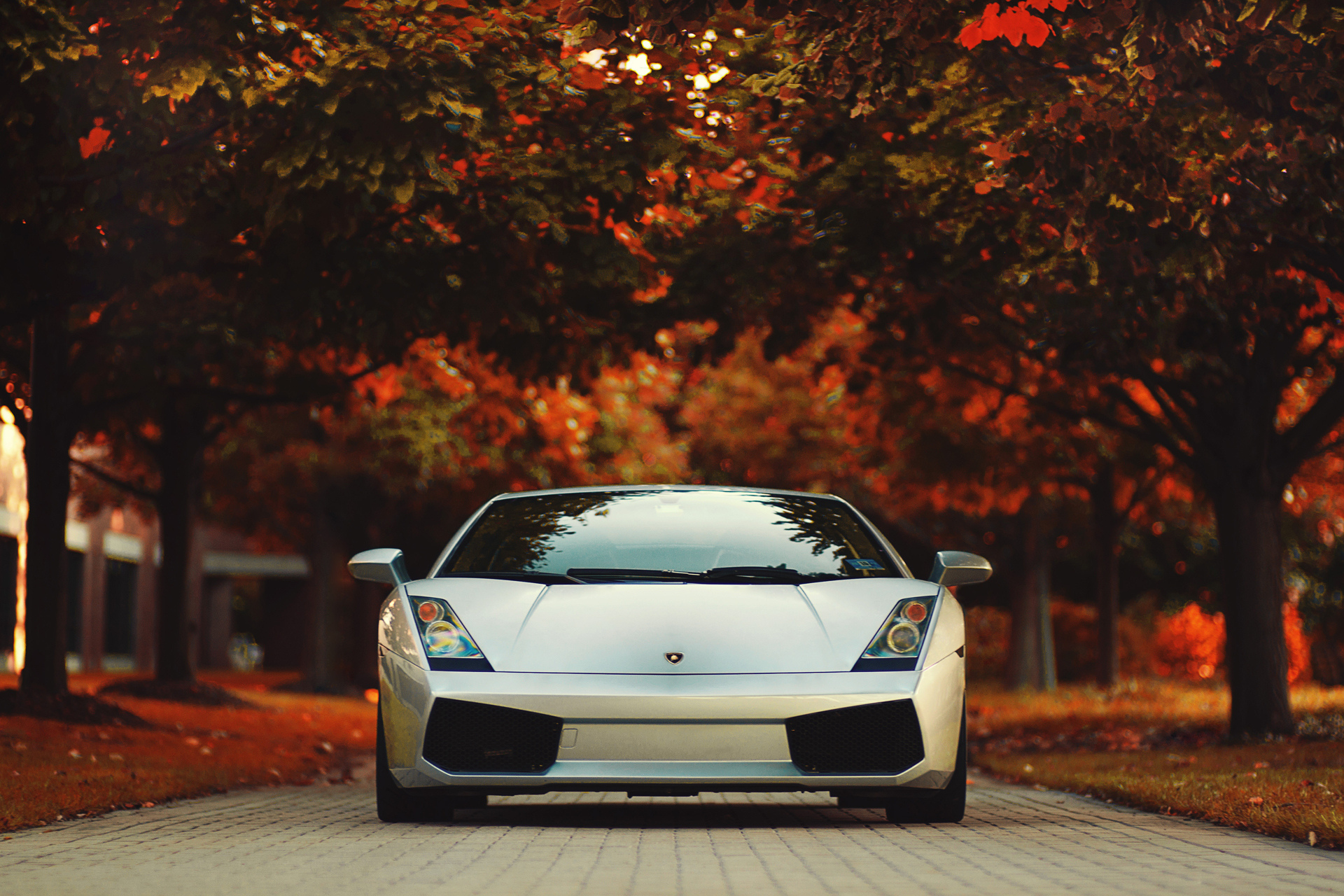 Р¤РѕС‚РѕРѕР±РѕРё Lamborghini Gallardo