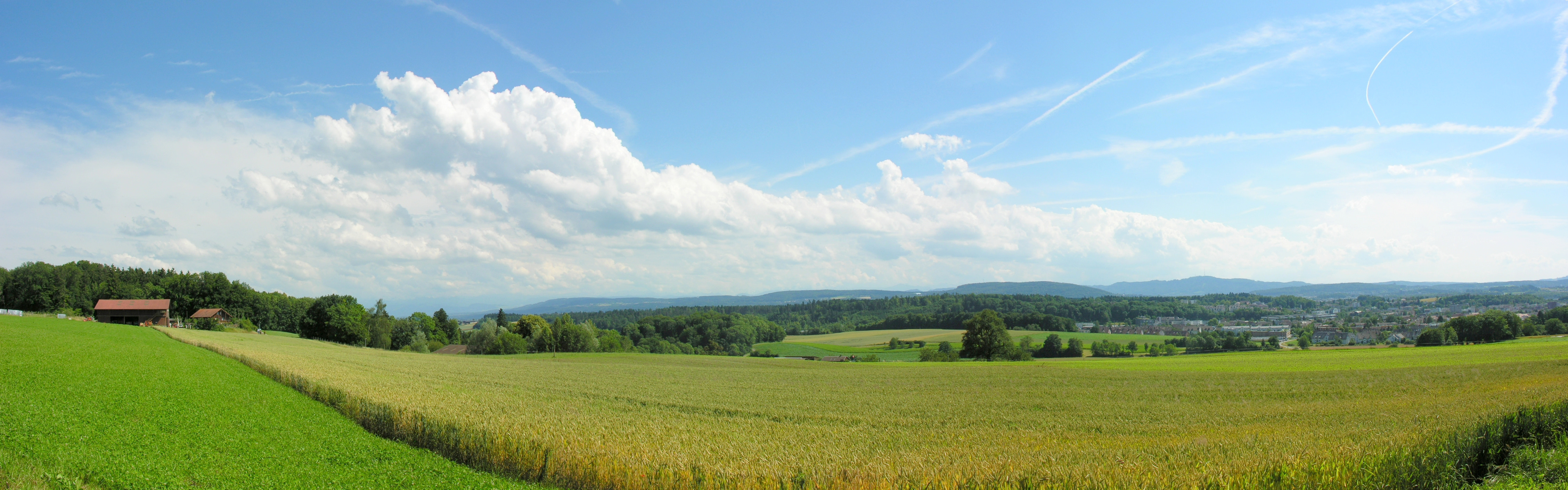 Фото панорама лето