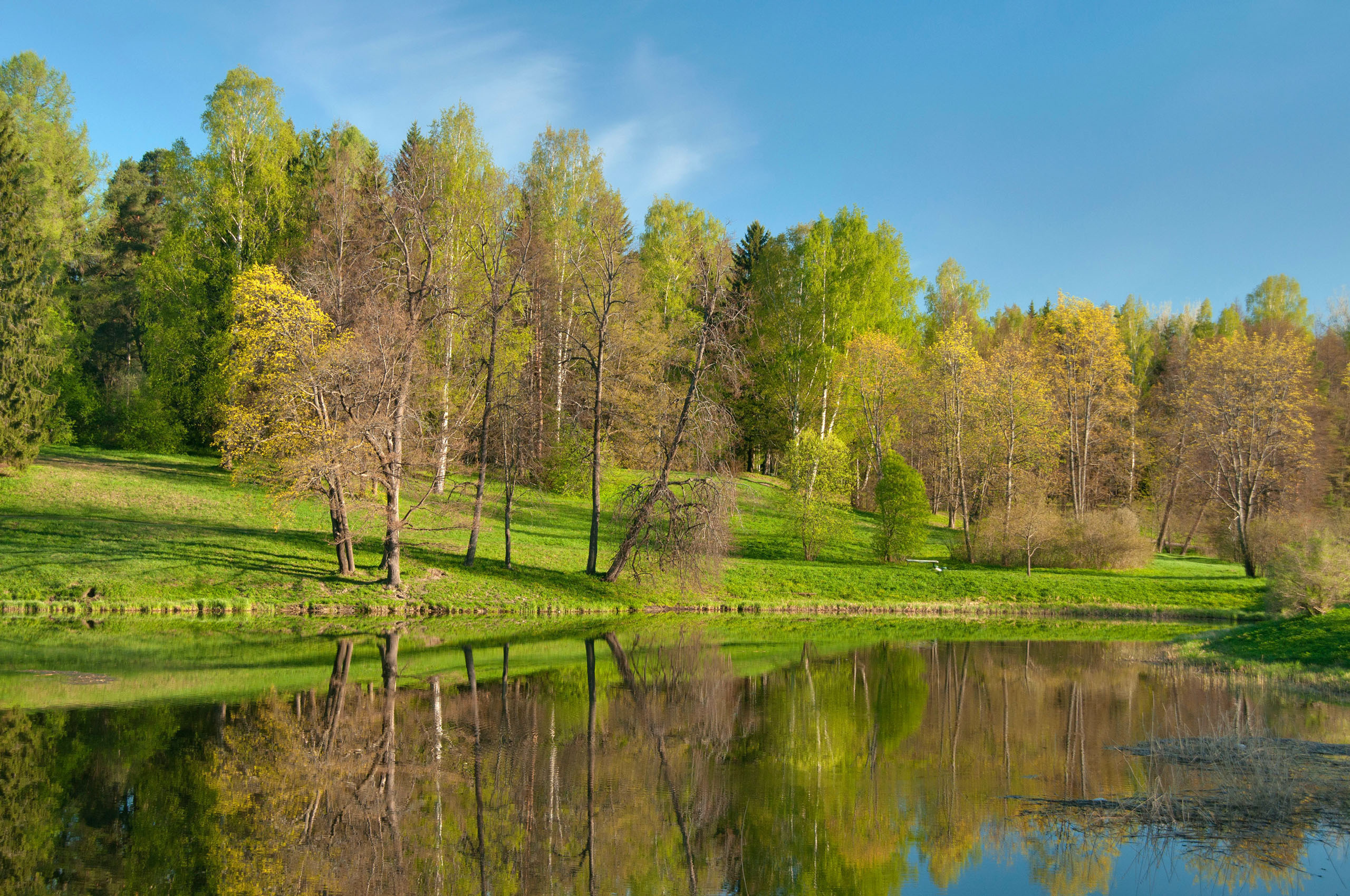 Забытая природа. Ликино-Дулево природа речка. Русская природа. Пейзажи природы. Весна лес река.