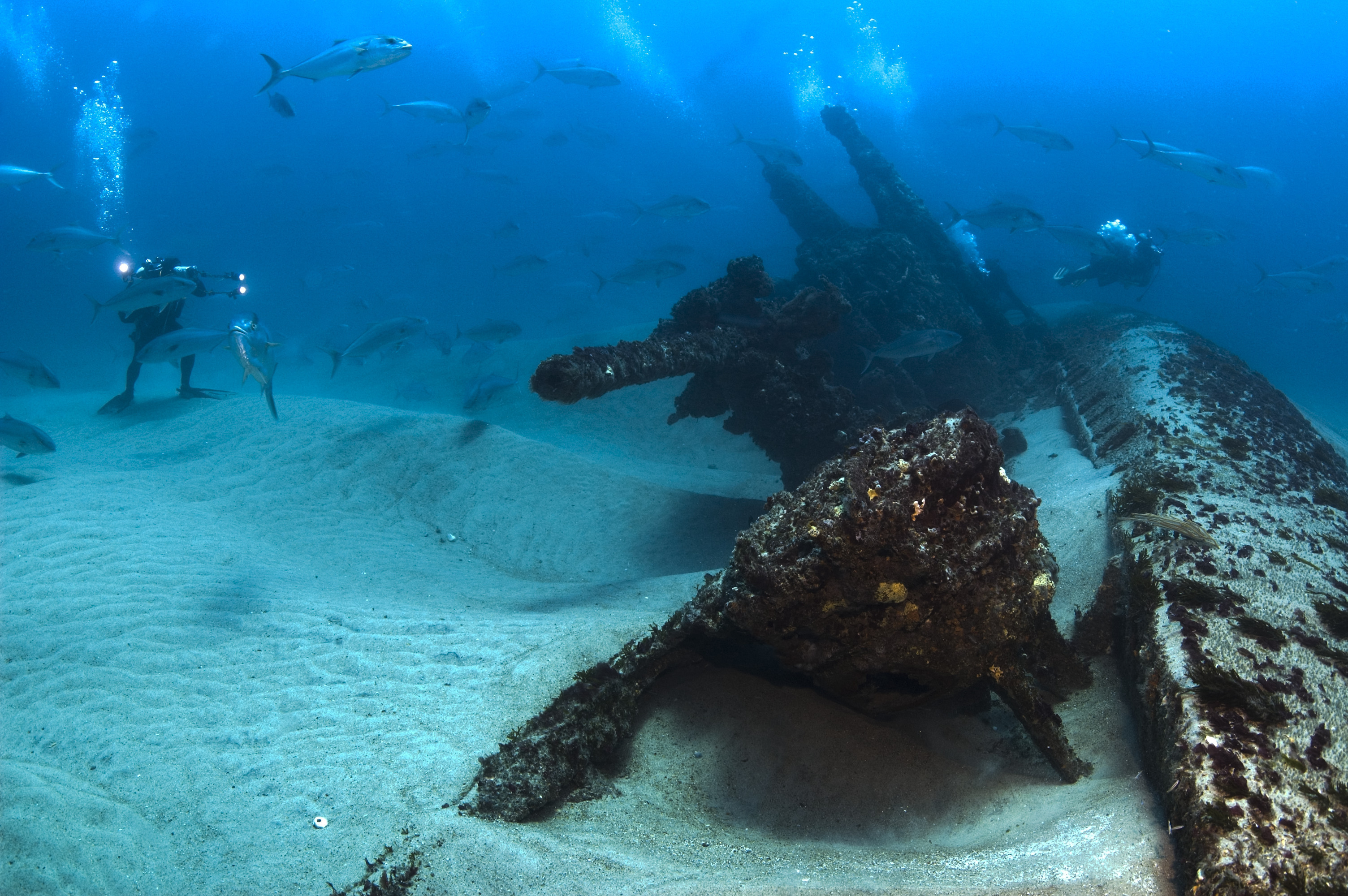 Море со дна. Затонувшие корабли в Красном море. Морское дно. Дно океана. На дне океана.