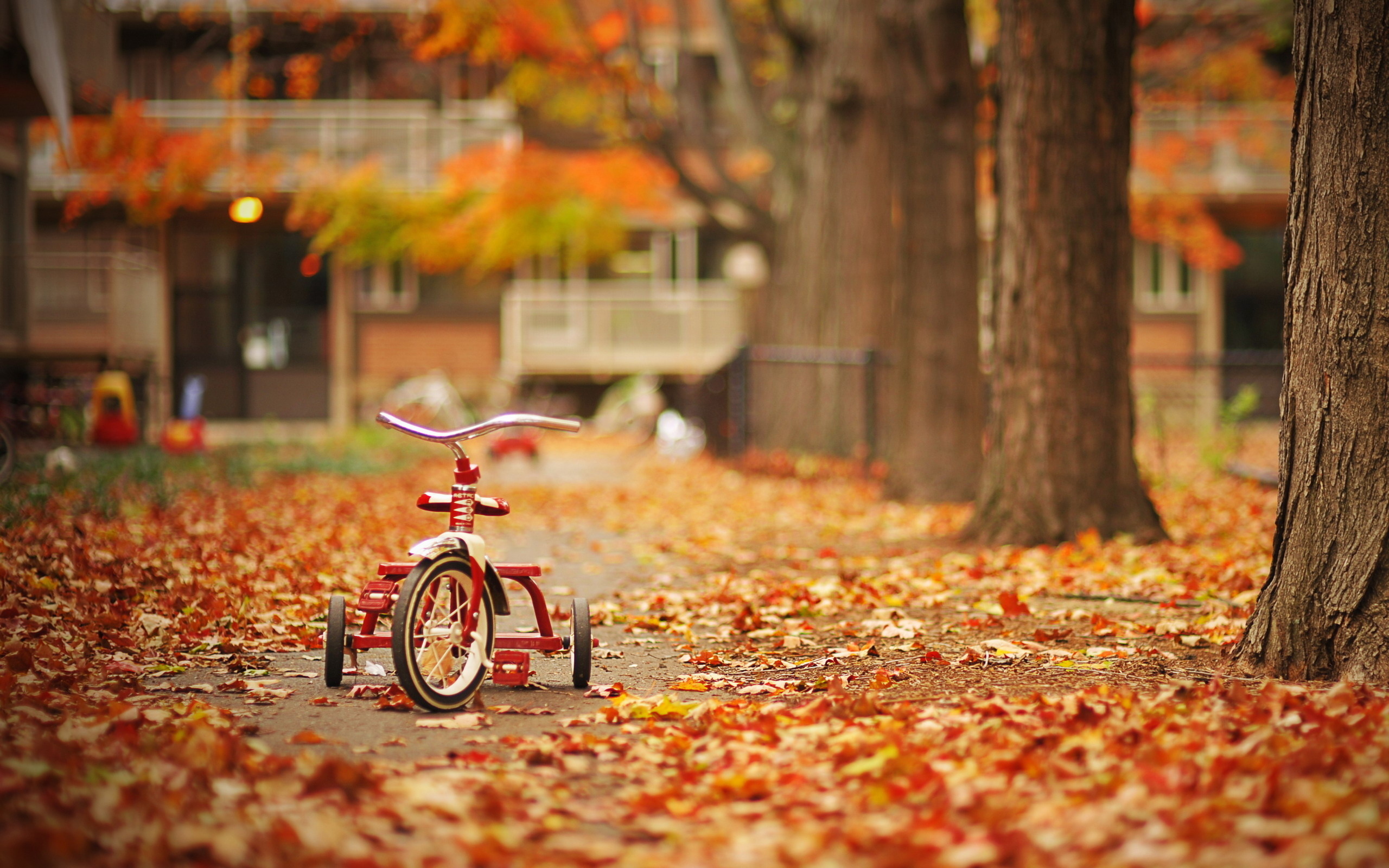 Мотоциклист осень
