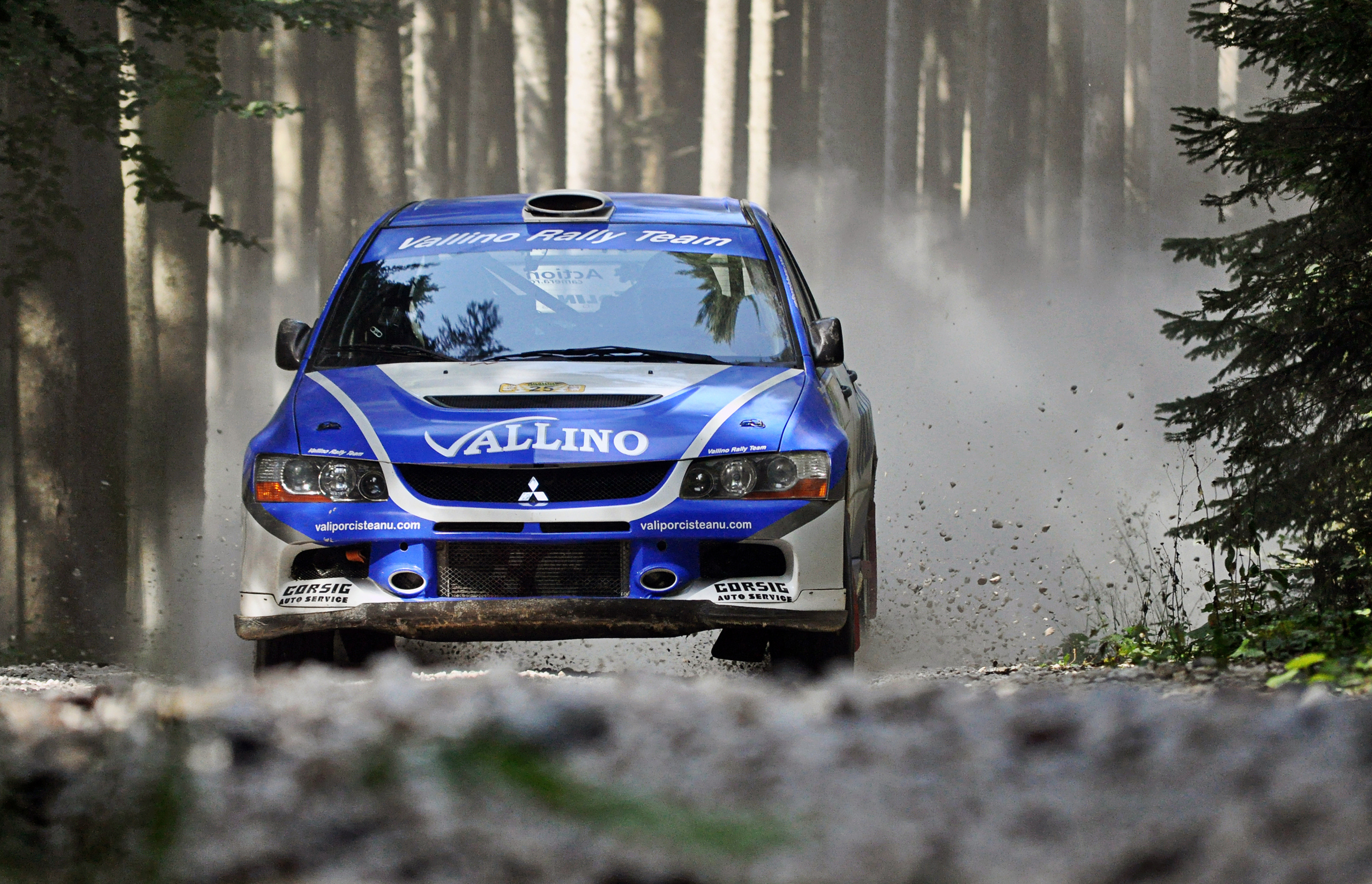 Mitsubishi Lancer Evolution 10 Rally