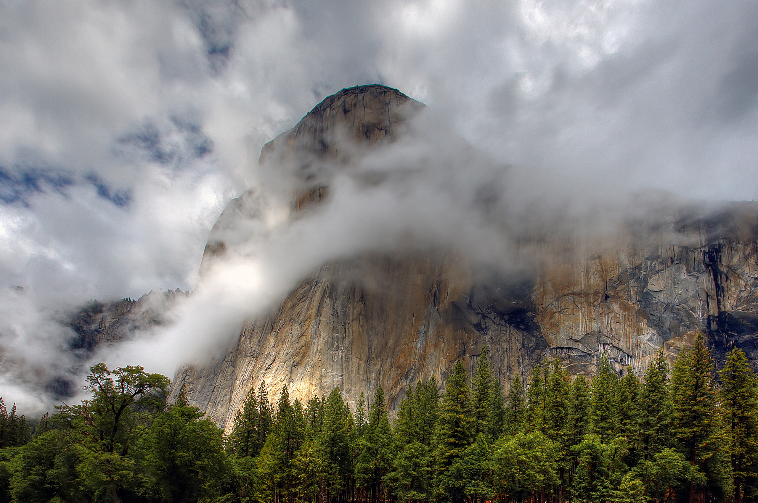 Fog mountains. Горы в тумане. Горы в облаках. Облака над горами. Лес горы туман.