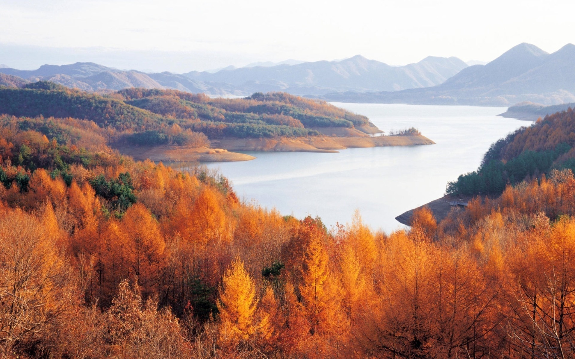 Река Амур осенью