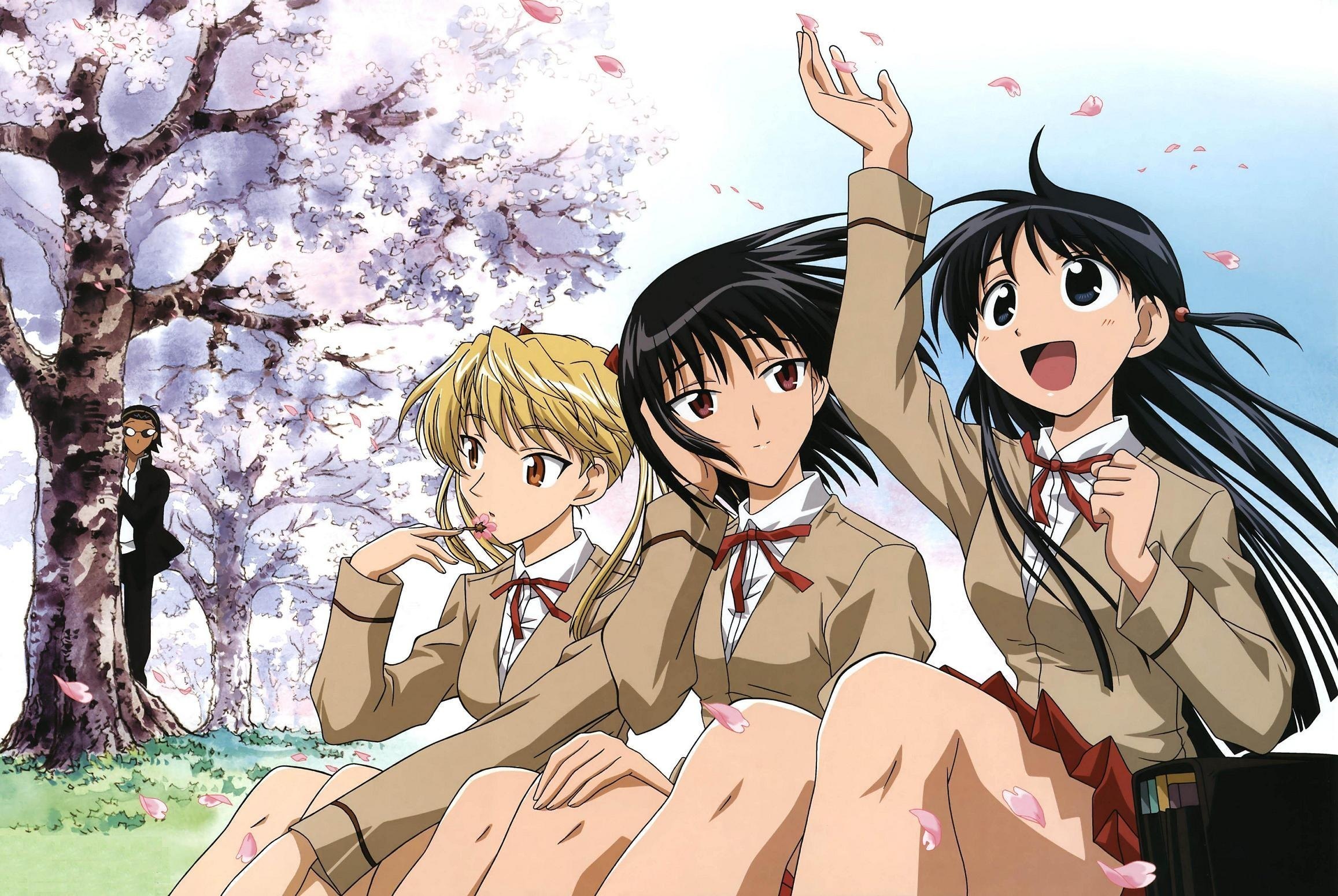 Обои сакура, harima kenji, school rumble, школьницы, tsukamoto tenma,  sawachika eri, девушки на рабочий стол