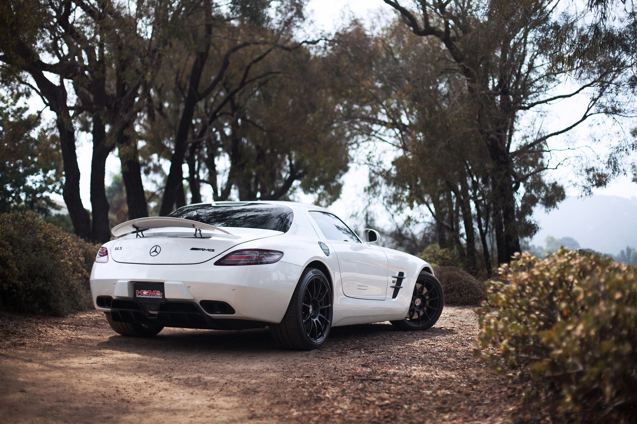 Mercedes SLS вид сзади