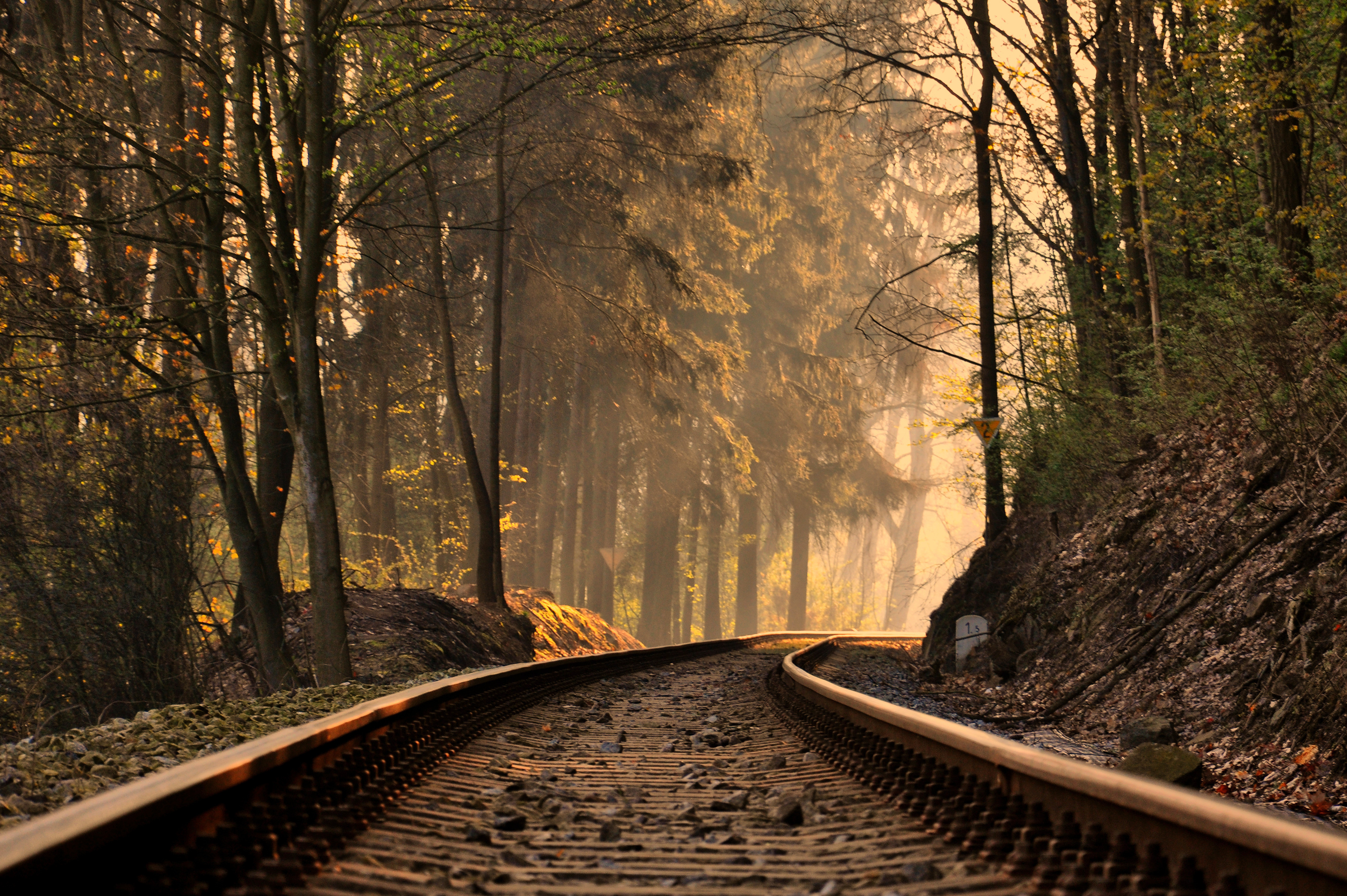 Trainride Vincent Gericke