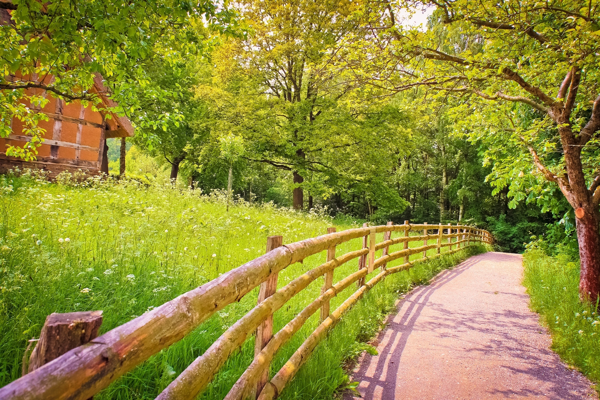 Summer countryside. Природа летом. Тропинка к дому. Изгородь в лесу. Лето тропинка.