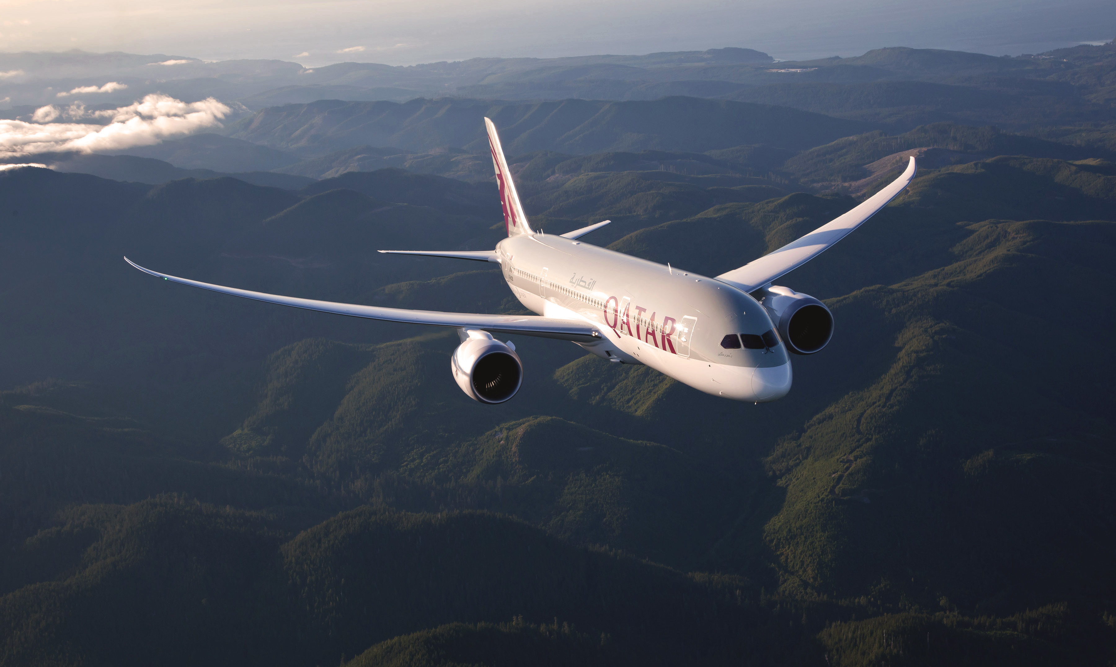 Flight boeing. Боинг 787 Дримлайнер. Boeing 787 Катар. Boeing 787-8 Qatar Airways. Боинг 787 Дримлайнер Qatar.