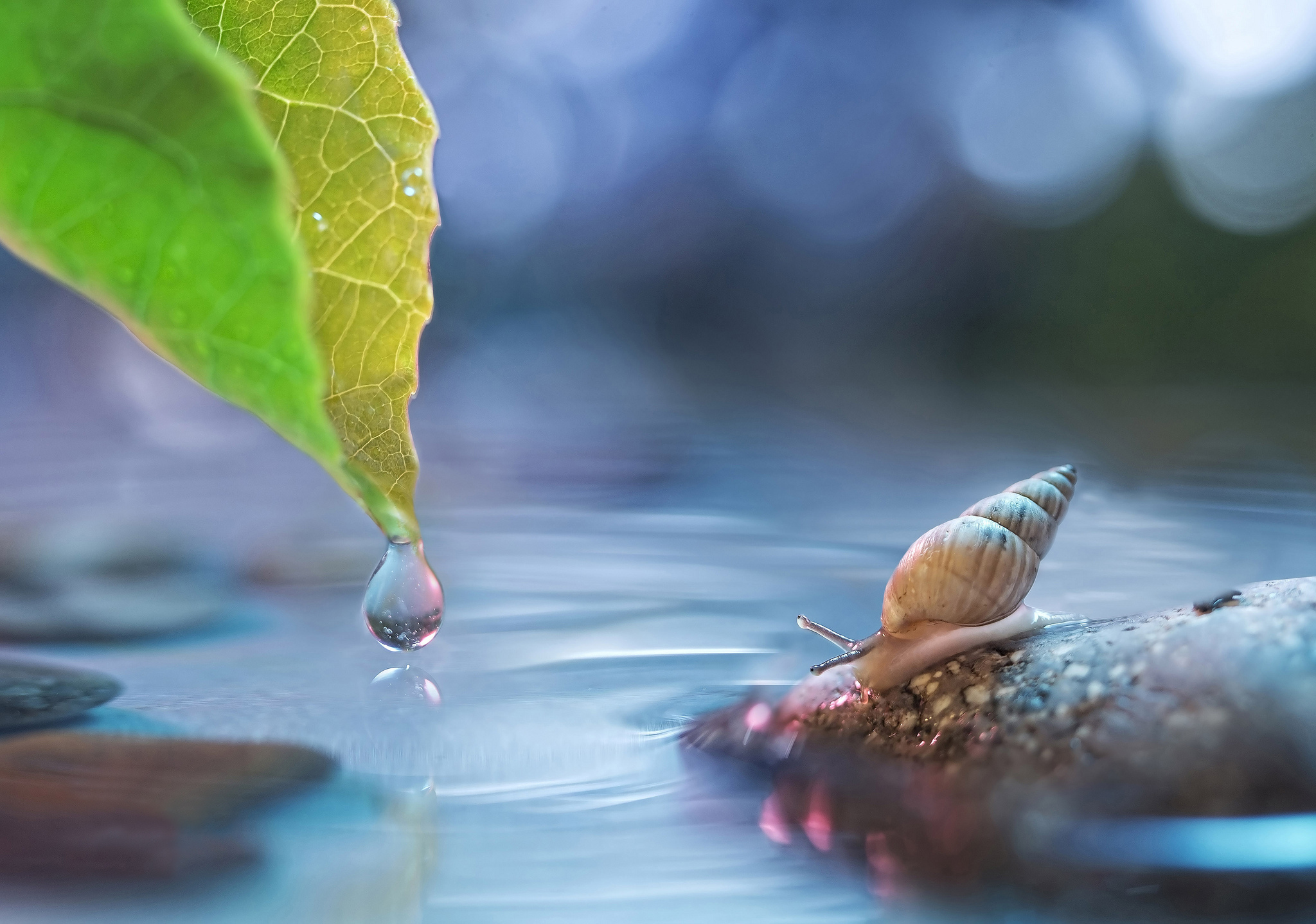 Капля воды