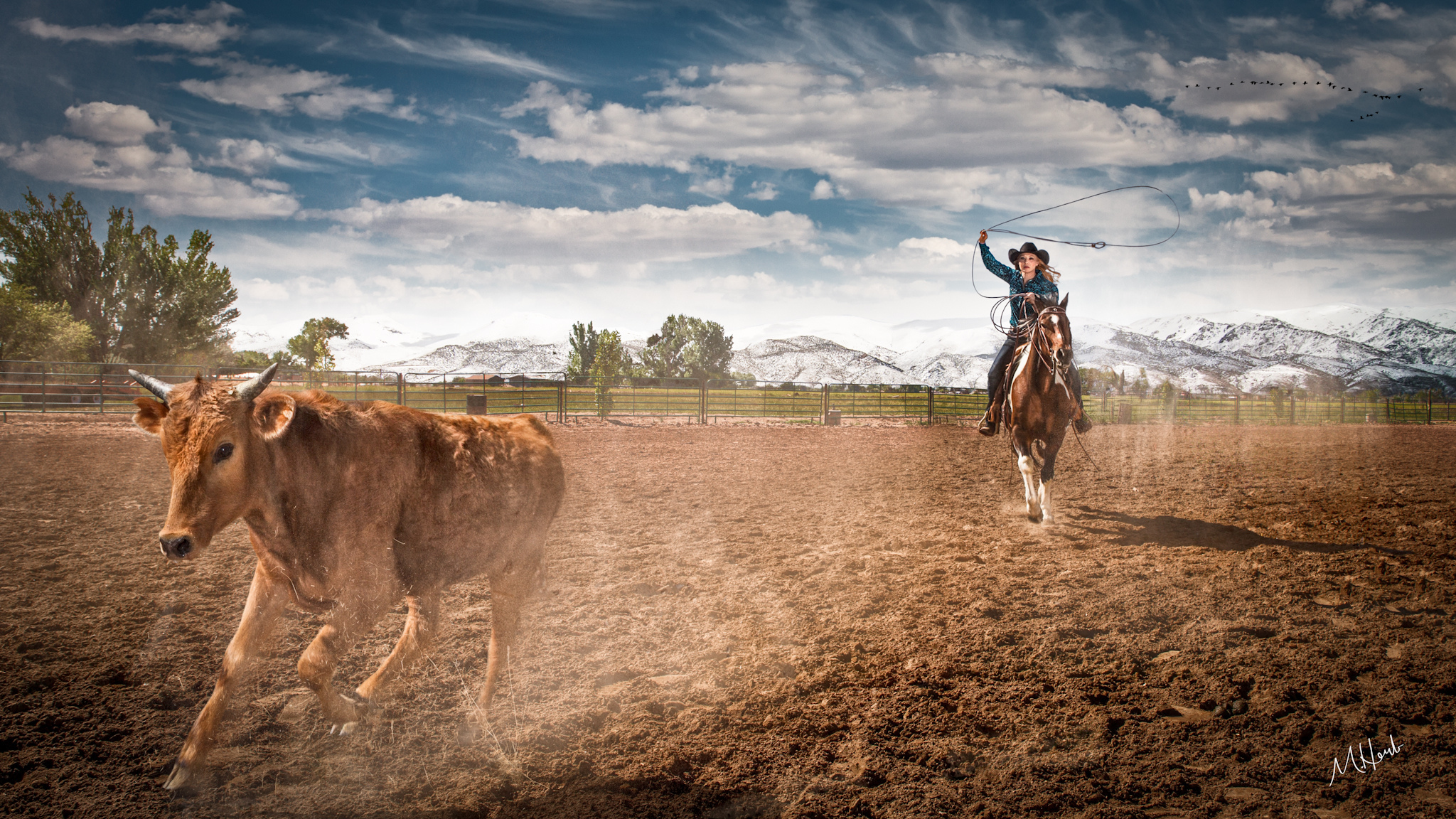 Ride Him Cowgirl