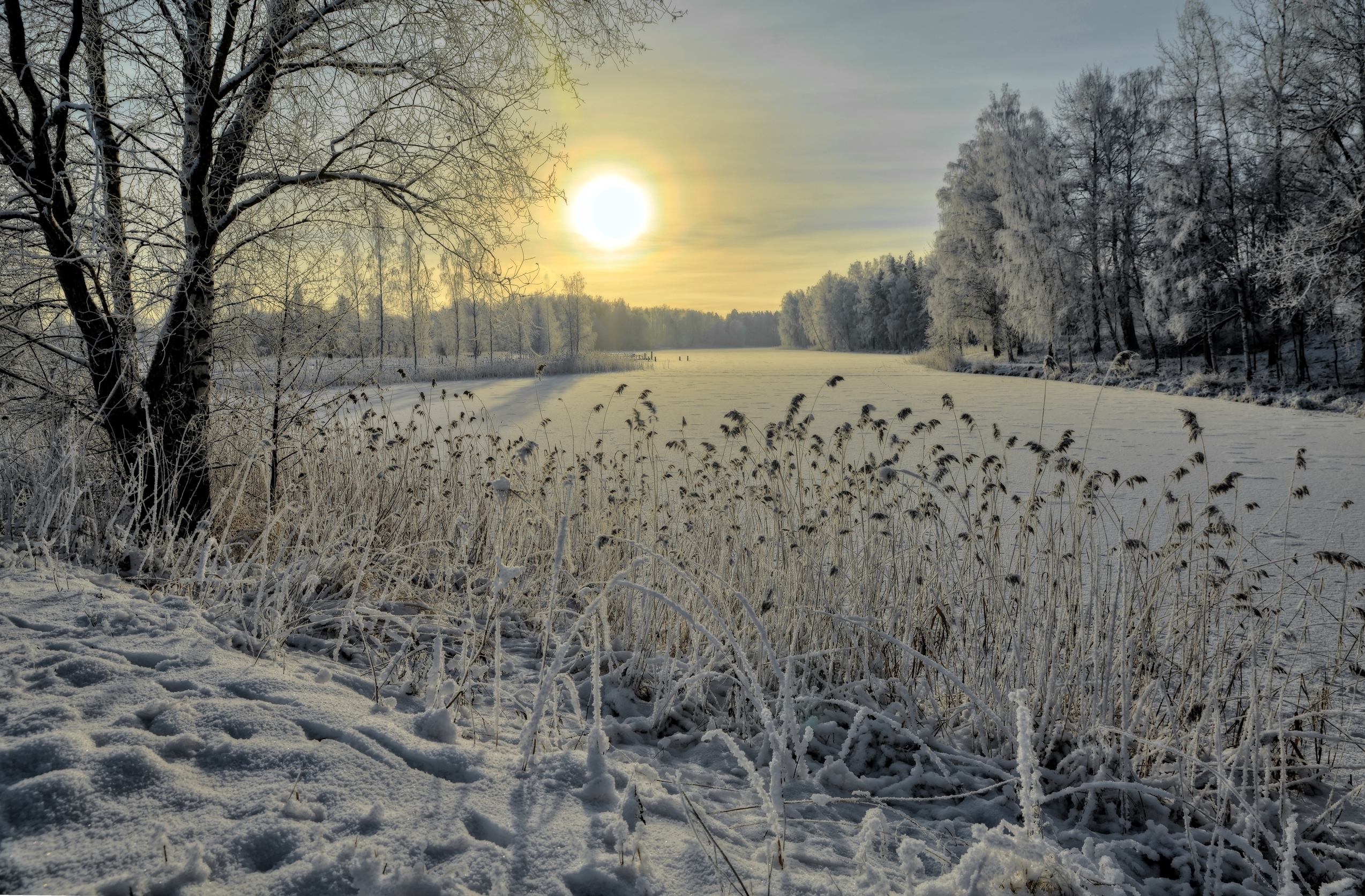 Первая зима. Ноябрь природа. Весенний пейзаж. Лесостепь зимой. Конец зимы.