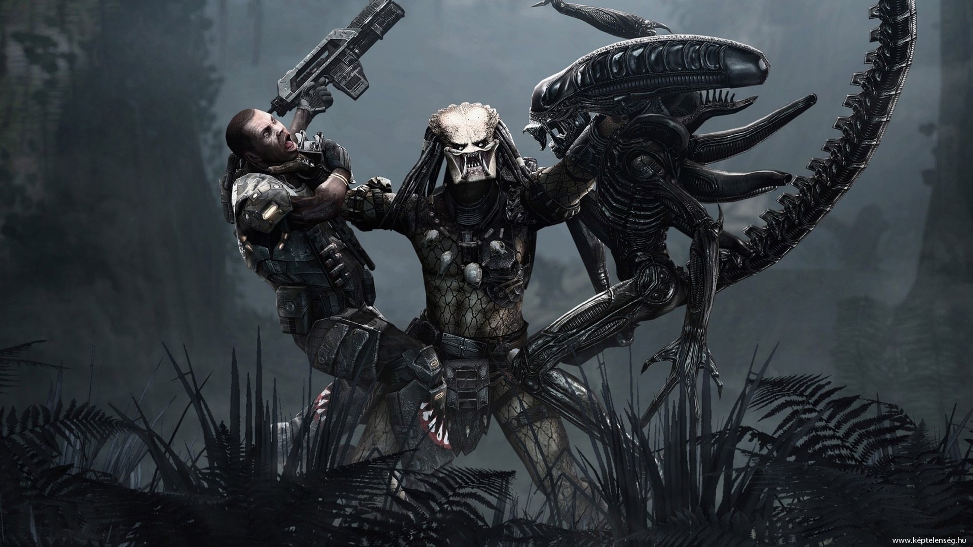 Обои aliens vs predator, джунгли, хищник, marine, чужой на рабочий стол