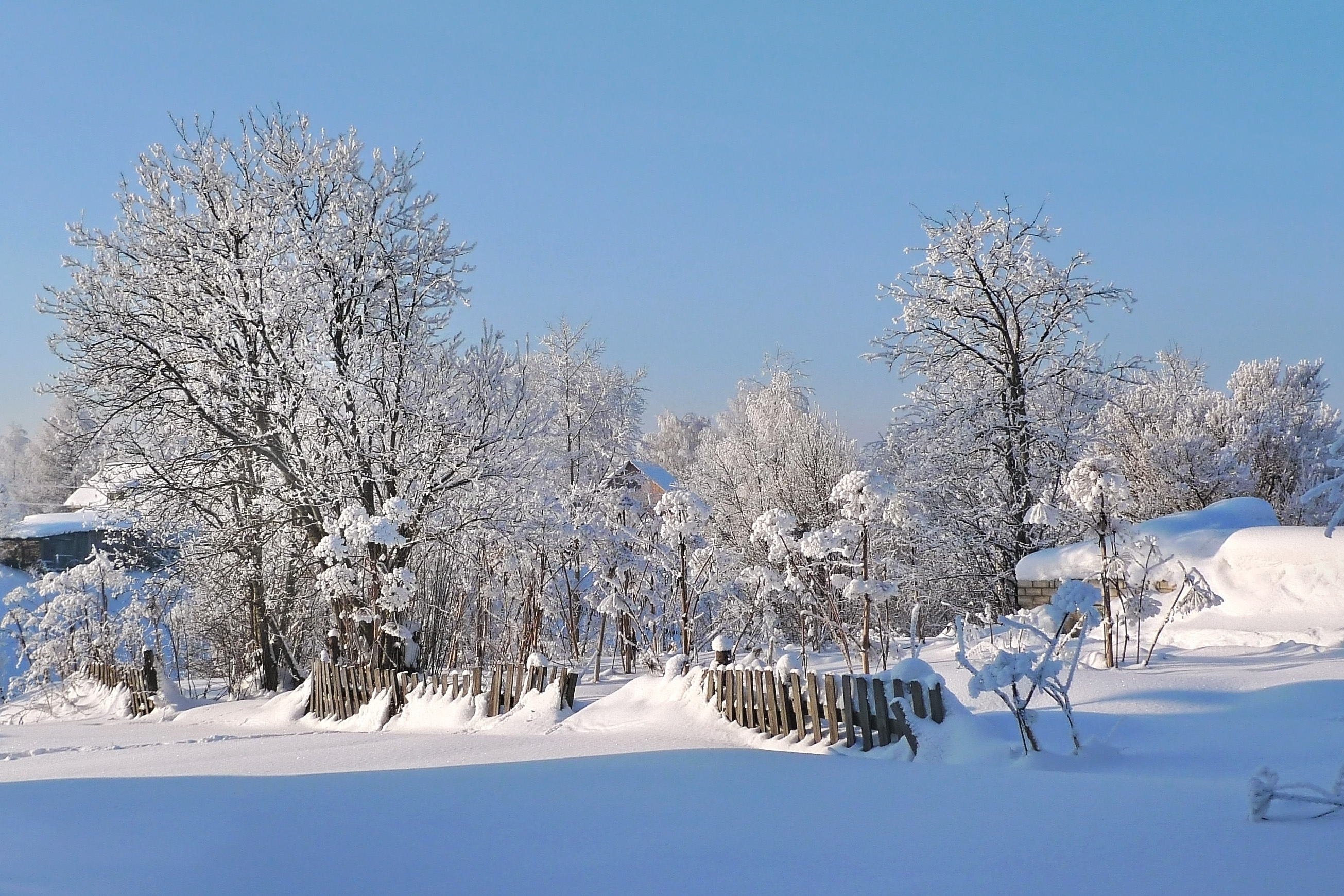 2 в зимнее время года. Природа Кубани зима. Снежное утро. Кубань природа зима село. Зима пейзаж станица.